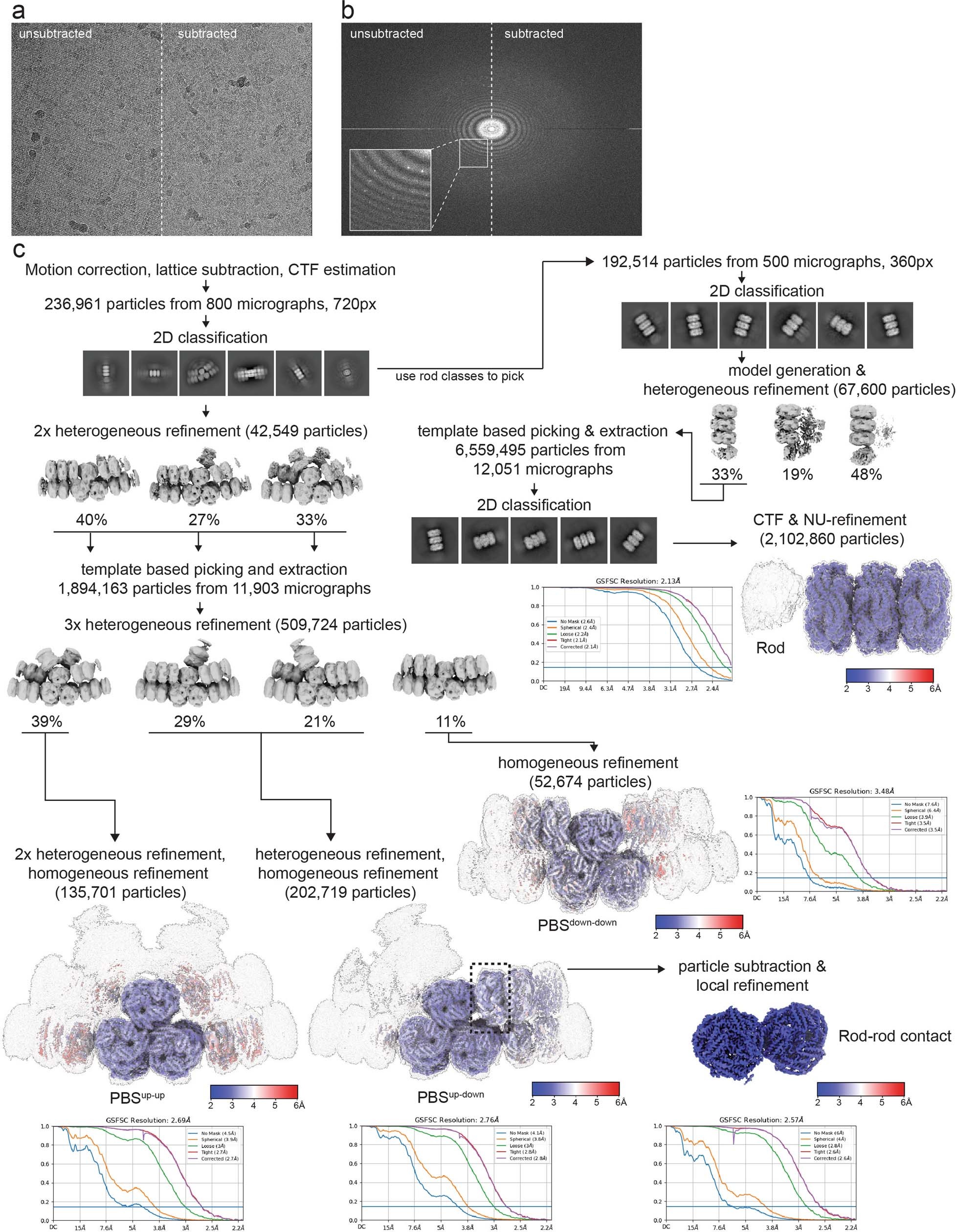 Extended Data Fig. 2: Cryo-EM data processing of PBS data.