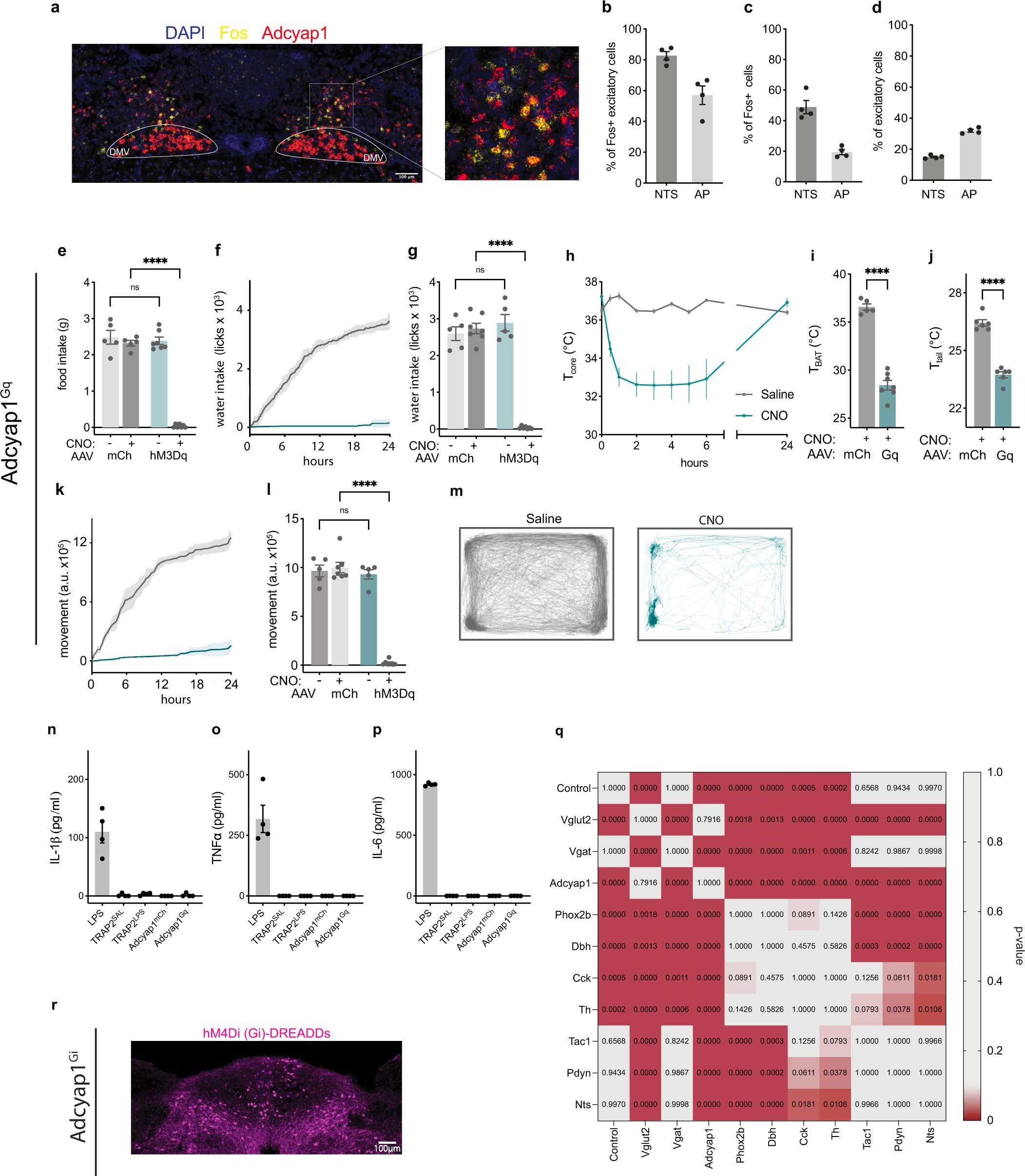 Extended Data Fig. 5: Functional characterization of cell types in NTS/AP region.