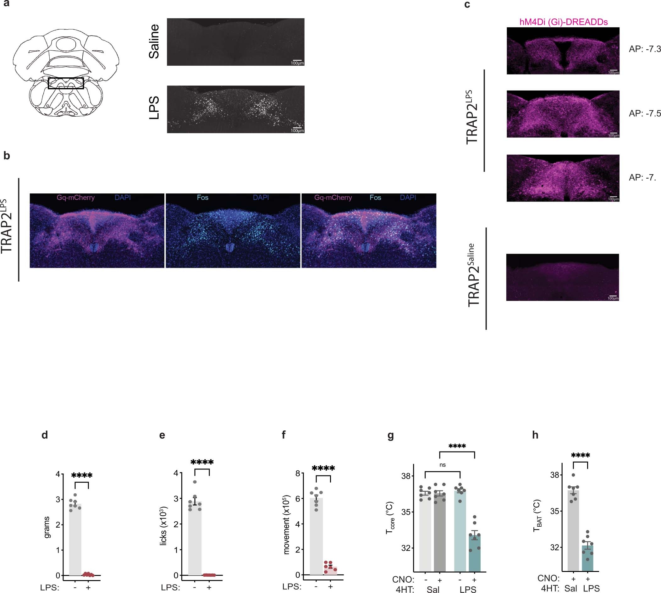 Extended Data Fig. 3: TRAP2 experiment additional information.
