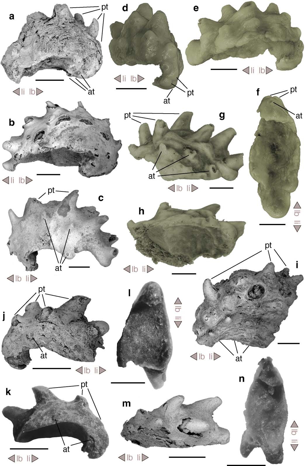 Extended Data Fig. 1
