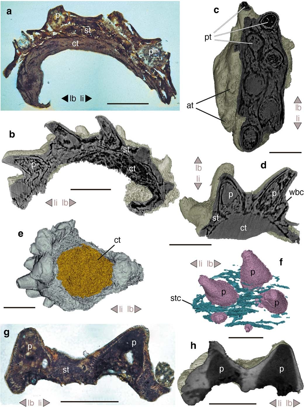 Extended Data Fig. 2