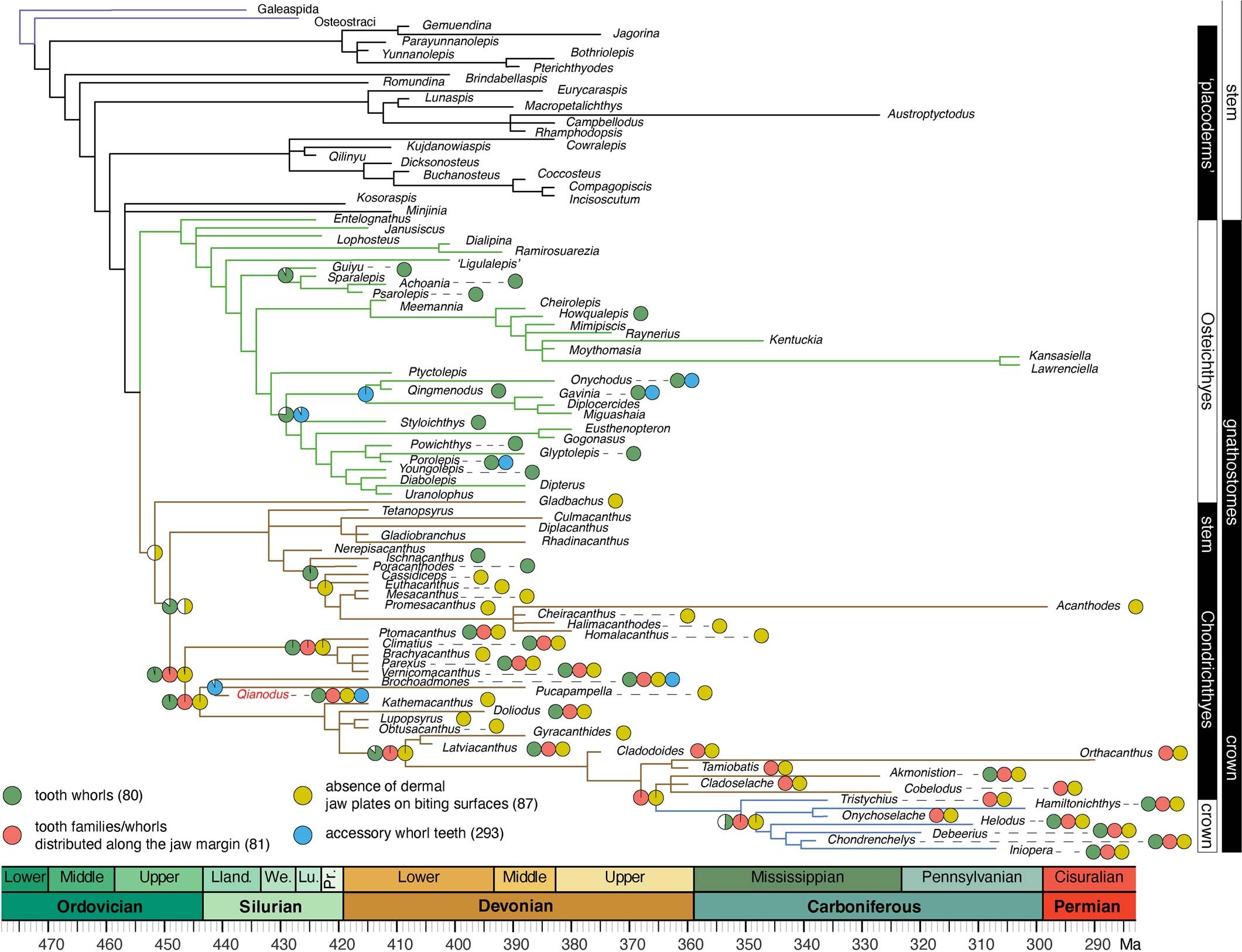 Extended Data Fig. 4