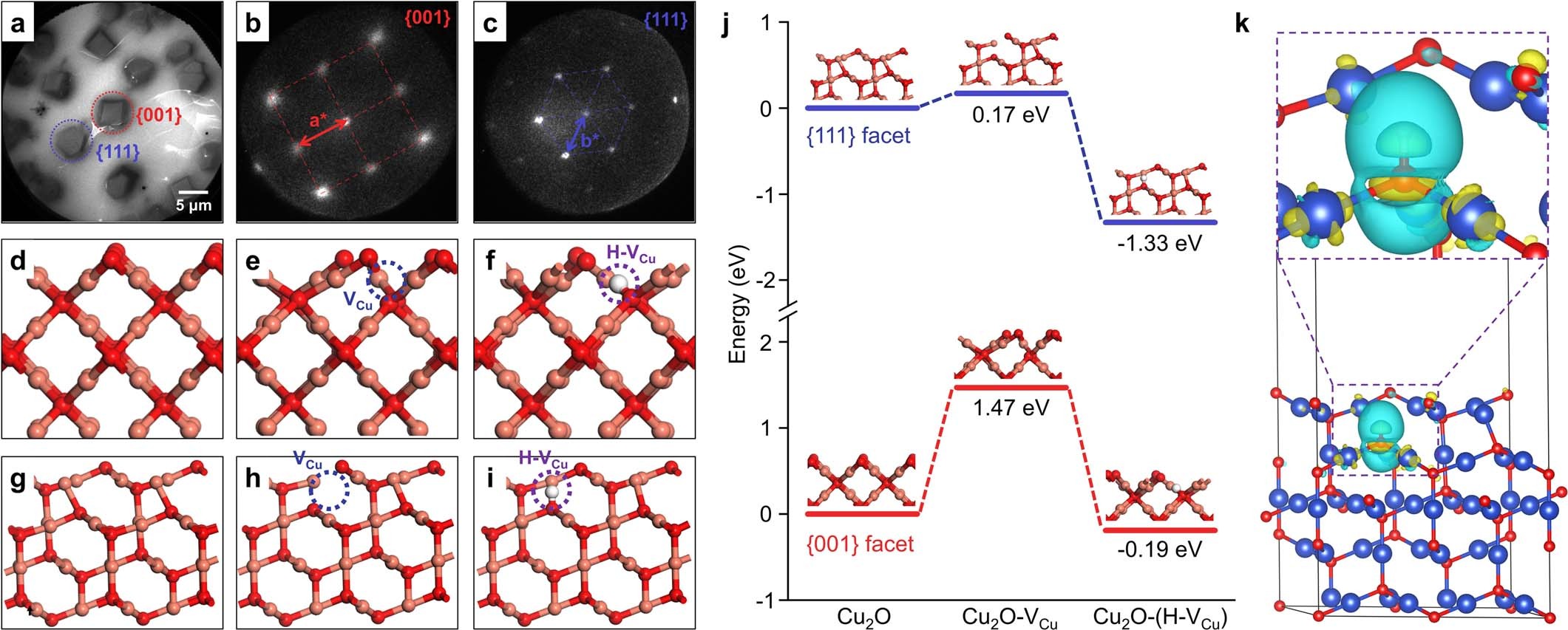 Extended Data Fig. 2: LEEM observations and DFT calculations.