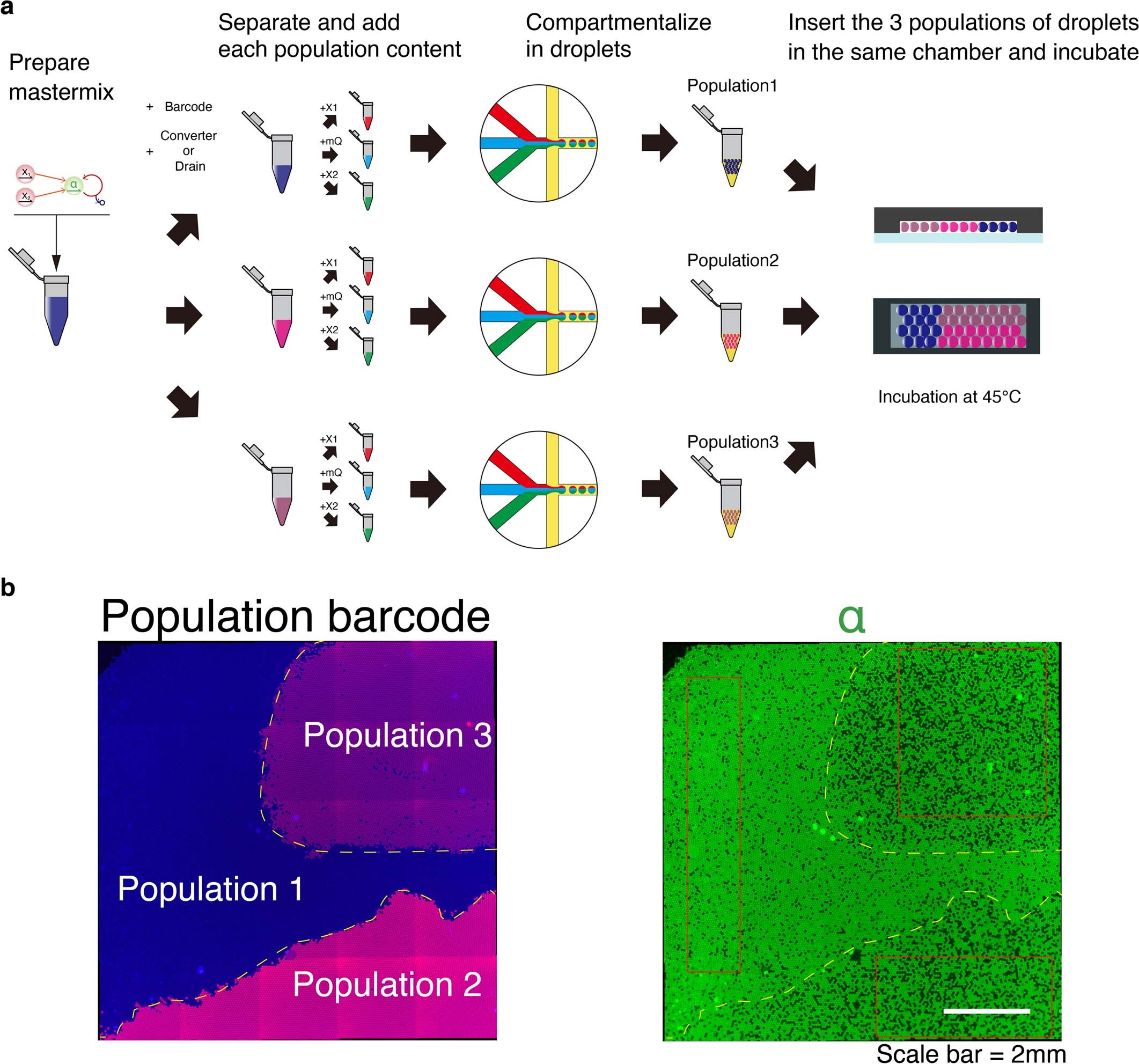 Extended Data Fig. 3
