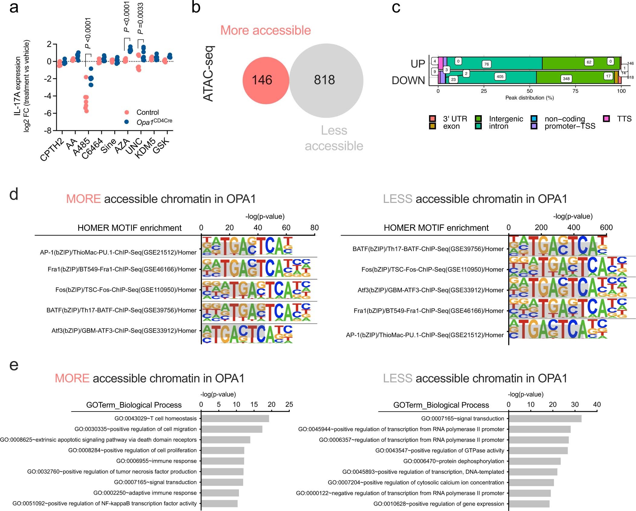 Extended Data Fig. 7: OPA1 controls chromatin accessibility in Th17 cells.