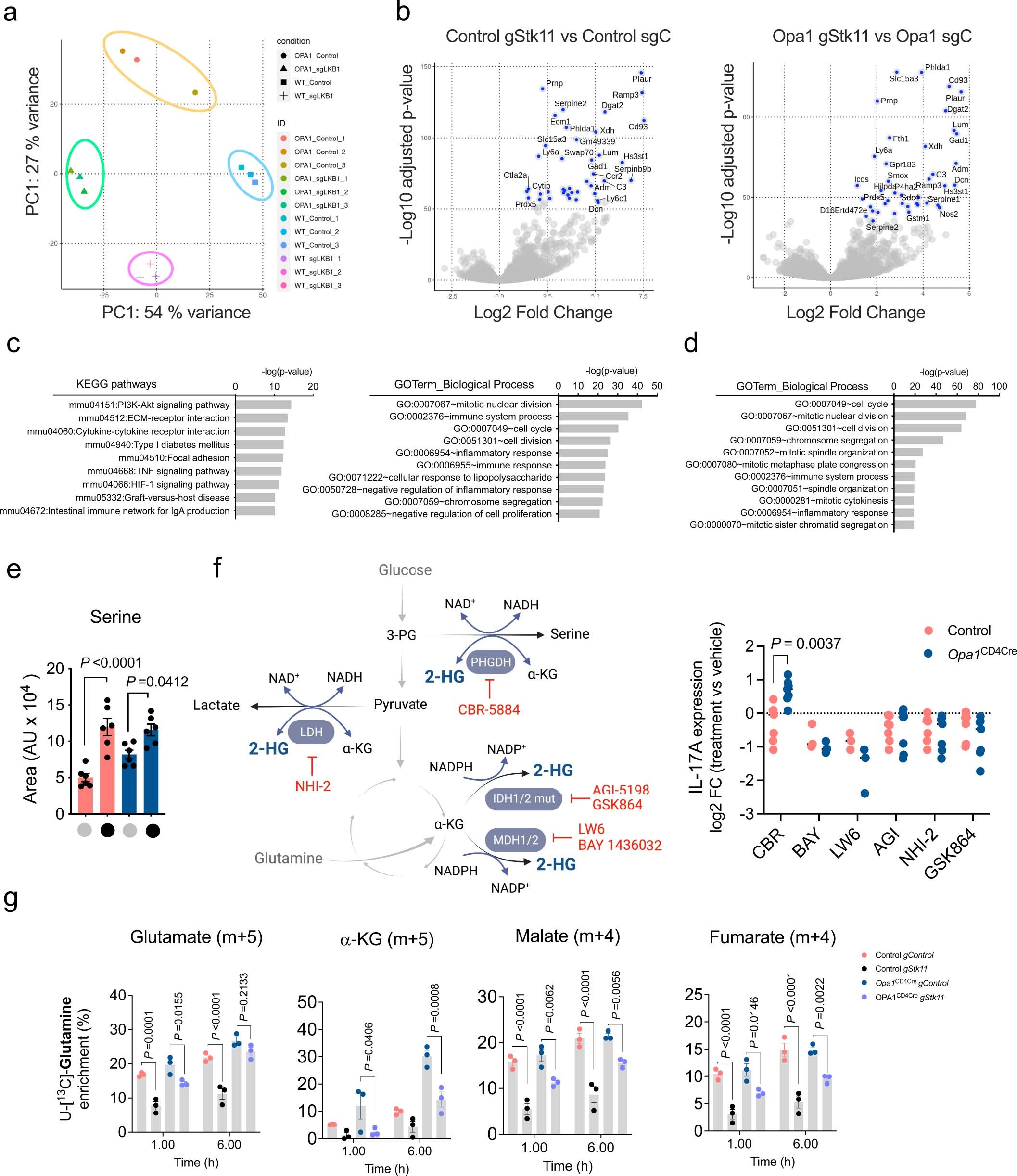 Extended Data Fig. 10: LKB1 couples TCA cycle and serine metabolism to Th17 effector function.