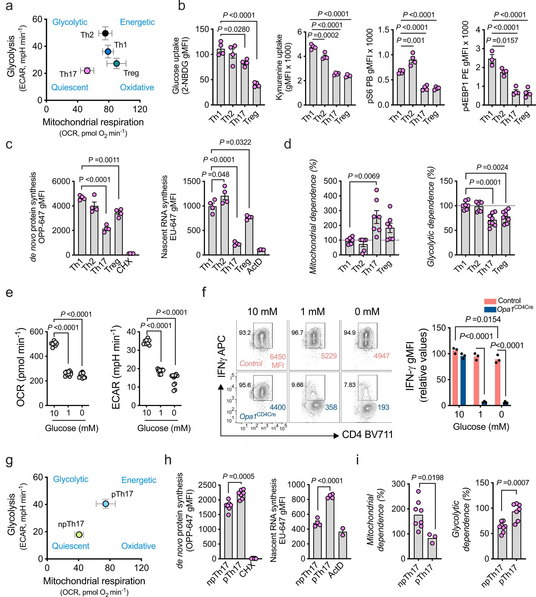 Extended Data Fig. 5: Th17 cells rely on OPA1 independent of metabolic activity.