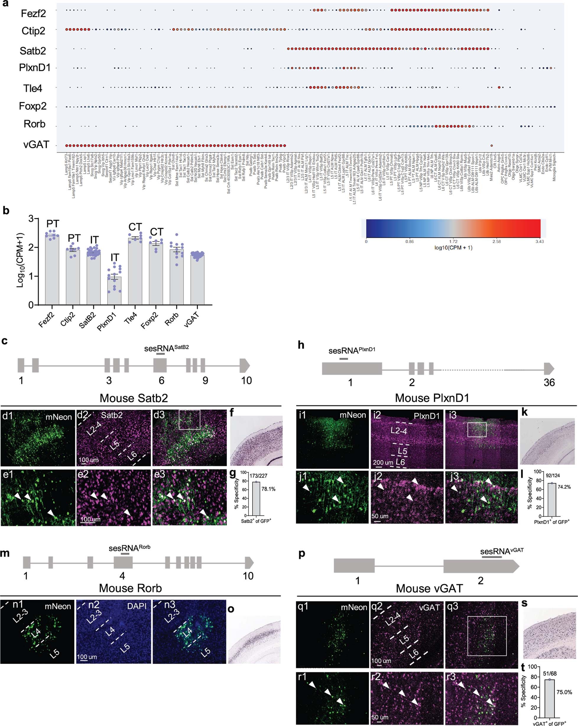 Extended Data Fig. 8