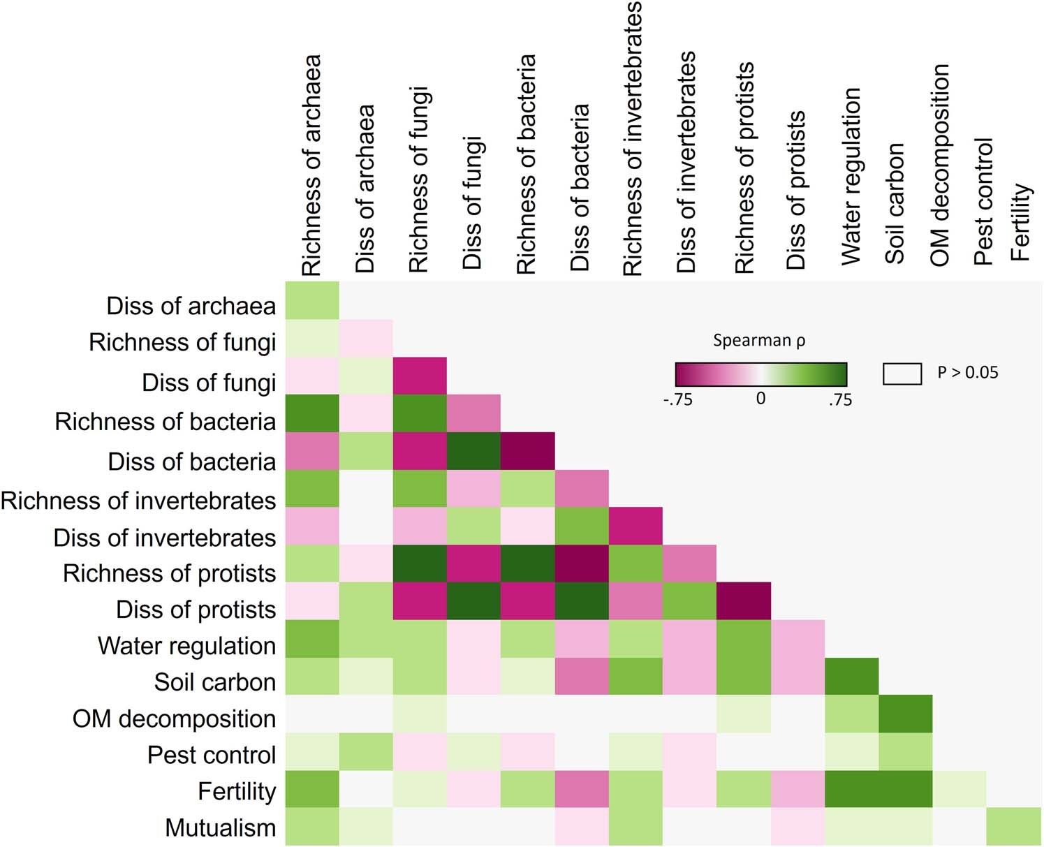 Extended Data Fig. 3: Spearman correlations between soil biodiversity and ecosystem services.