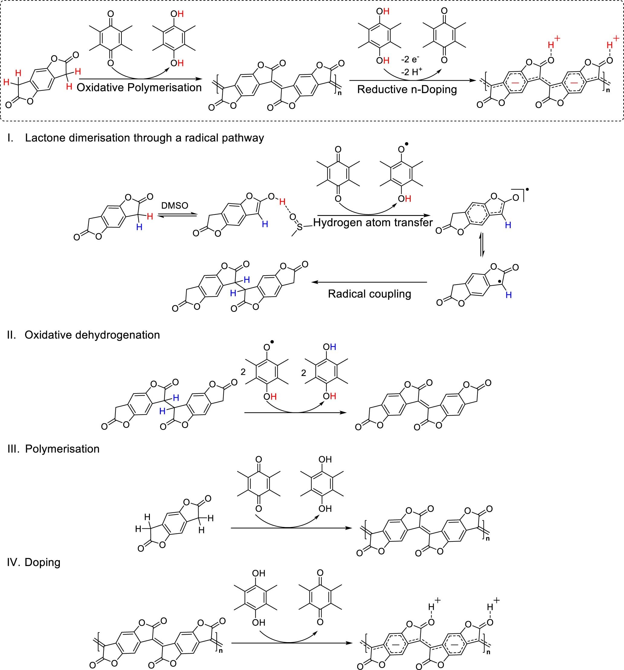 Extended Data Fig. 2: The possible mechanisms of combined oxidative polymerization and reductive n-doping for the synthesis of PBFDO.