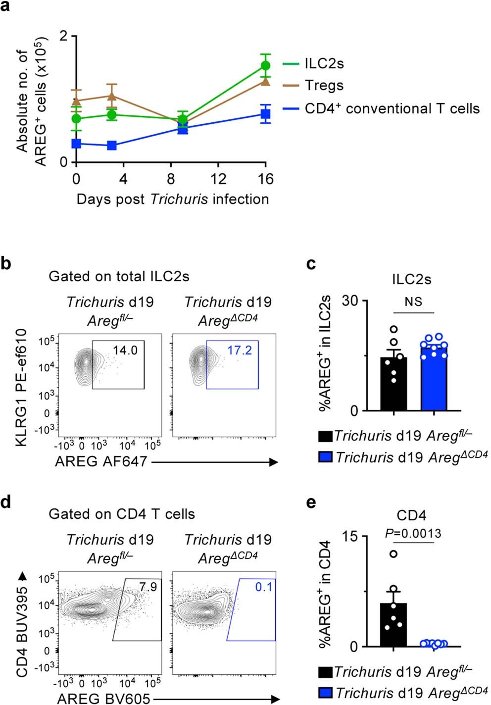 Extended Data Fig. 7: Specific and efficient deletion of Areg within T cells in AregΔCD4 mice.