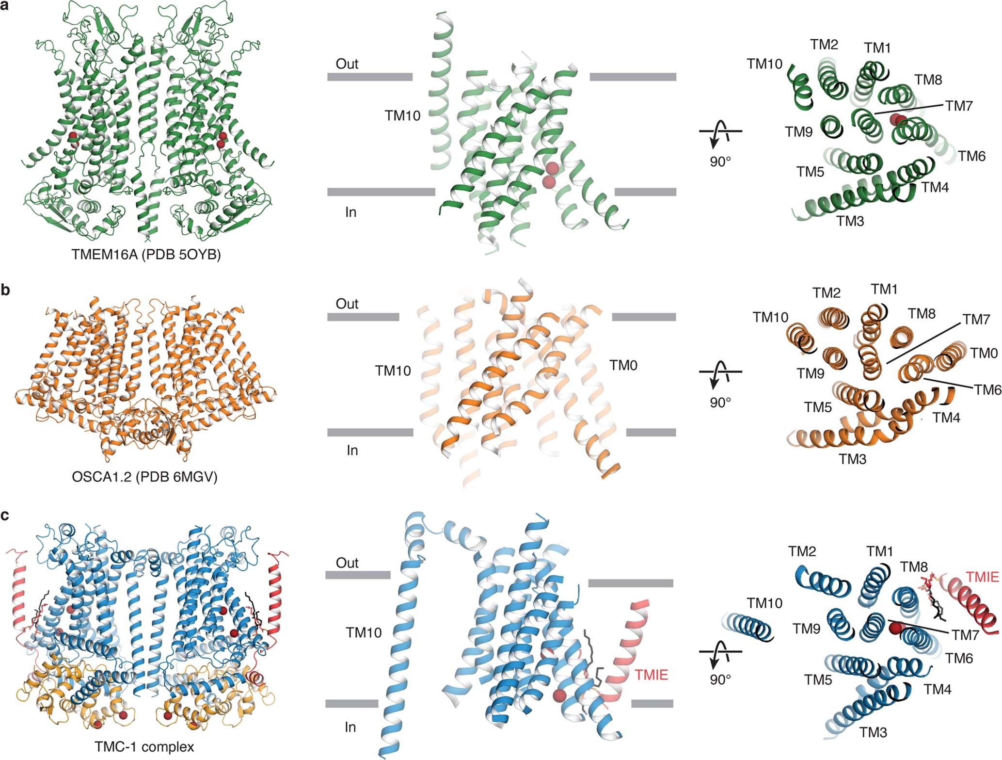 Extended Data Fig. 6