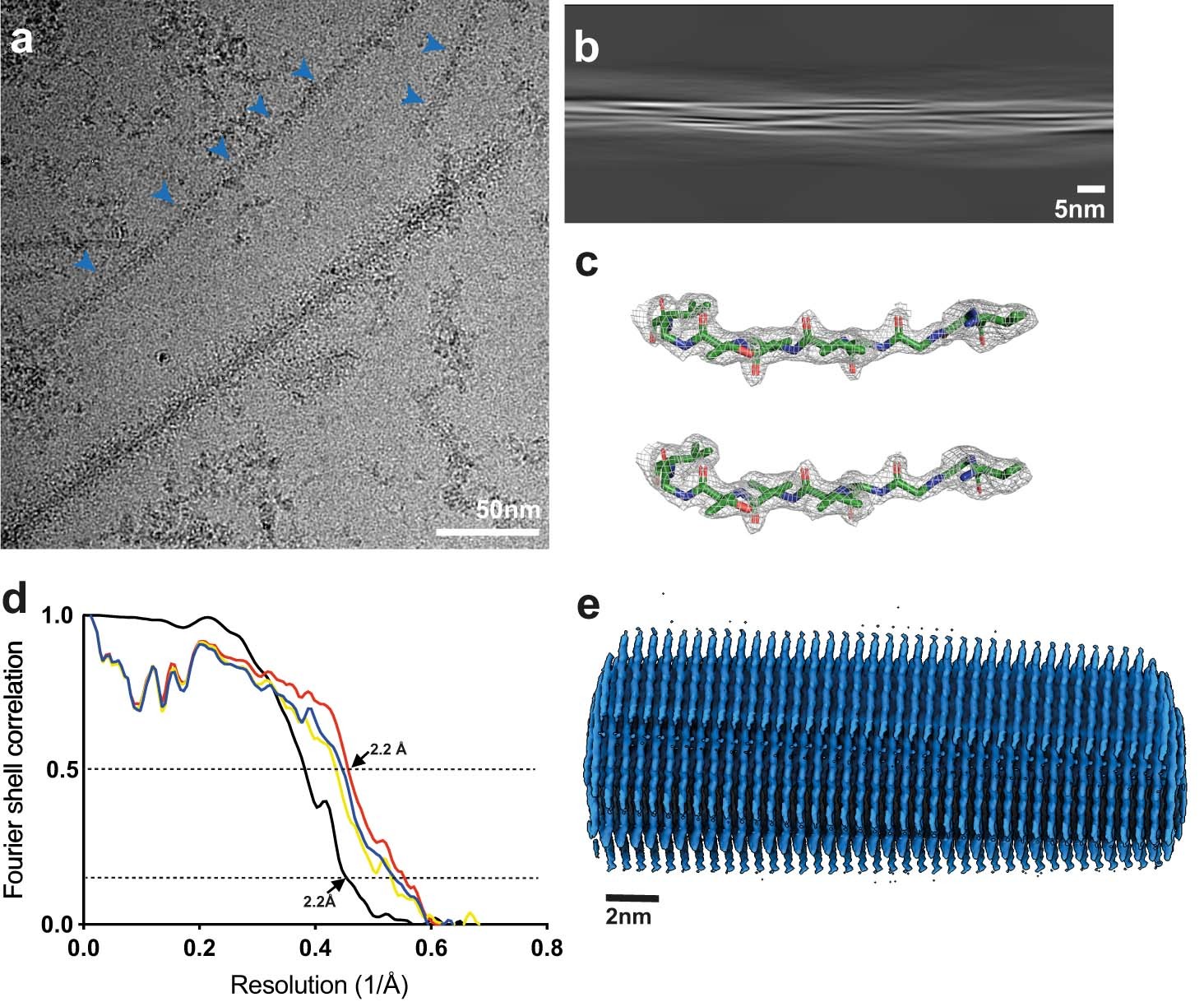 Extended Data Fig. 3: Cryo-EM maps, cryo-EM images and resolution estimates.