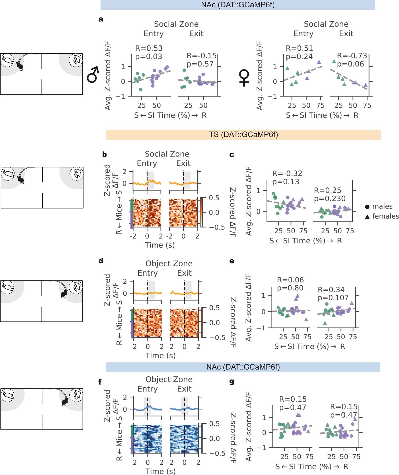 Extended Data Fig. 7