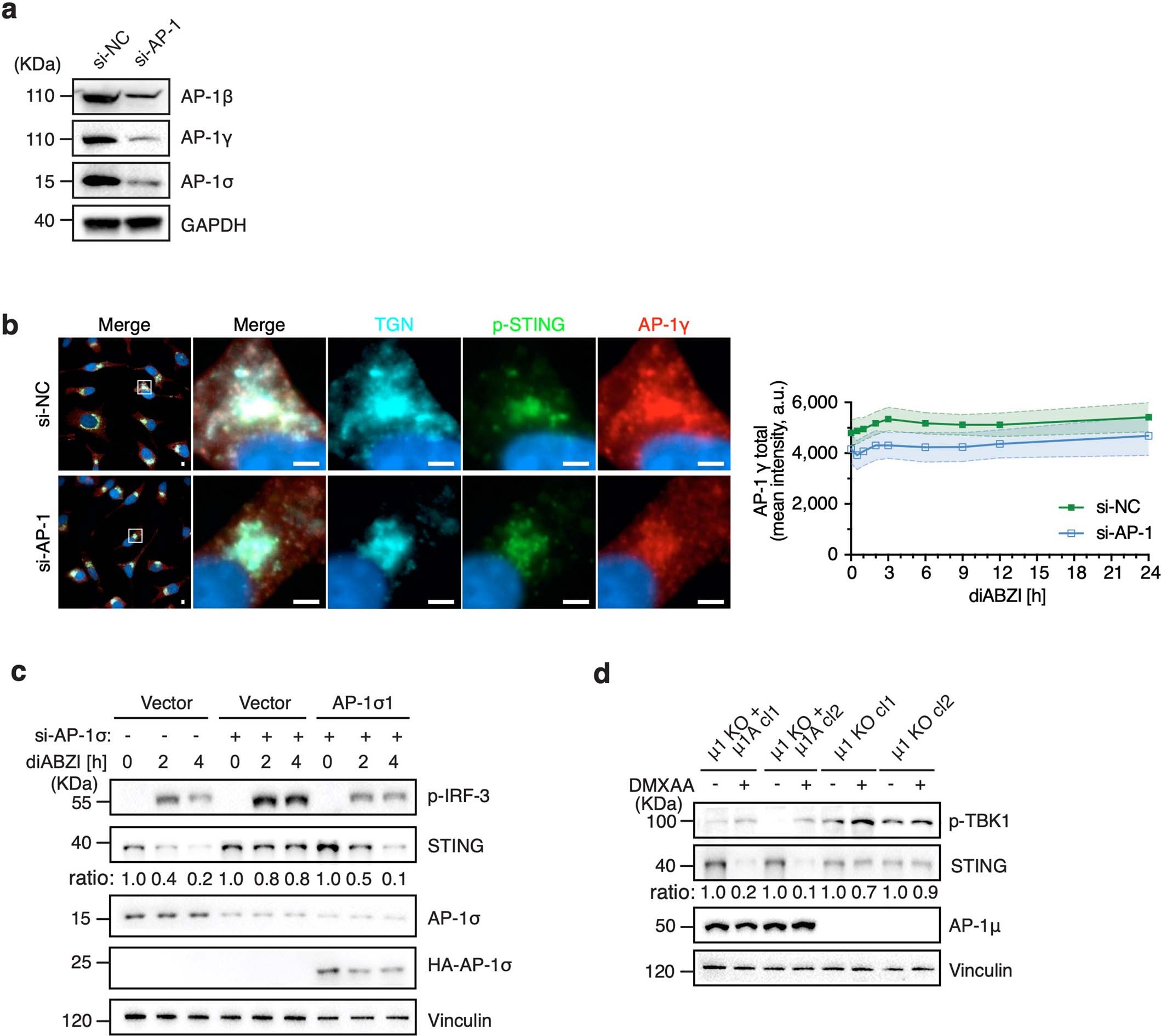 Extended Data Fig. 3