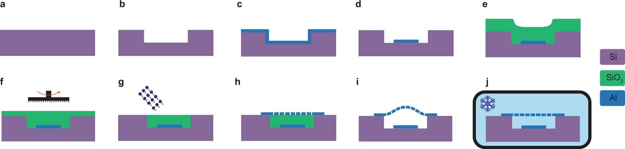 Extended Data Fig. 1