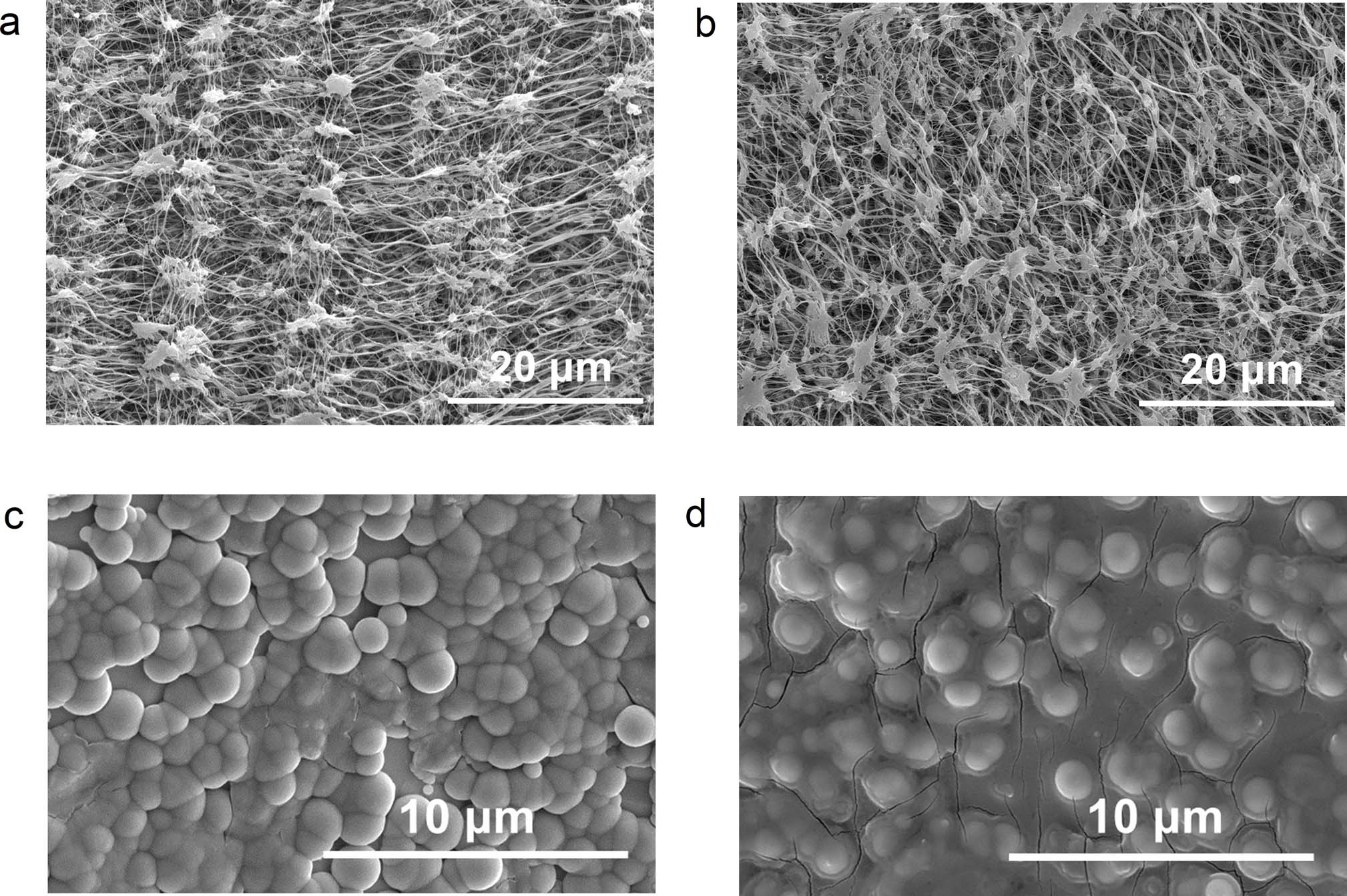 Extended Data Fig. 6: Fouling and corrosion detection.
