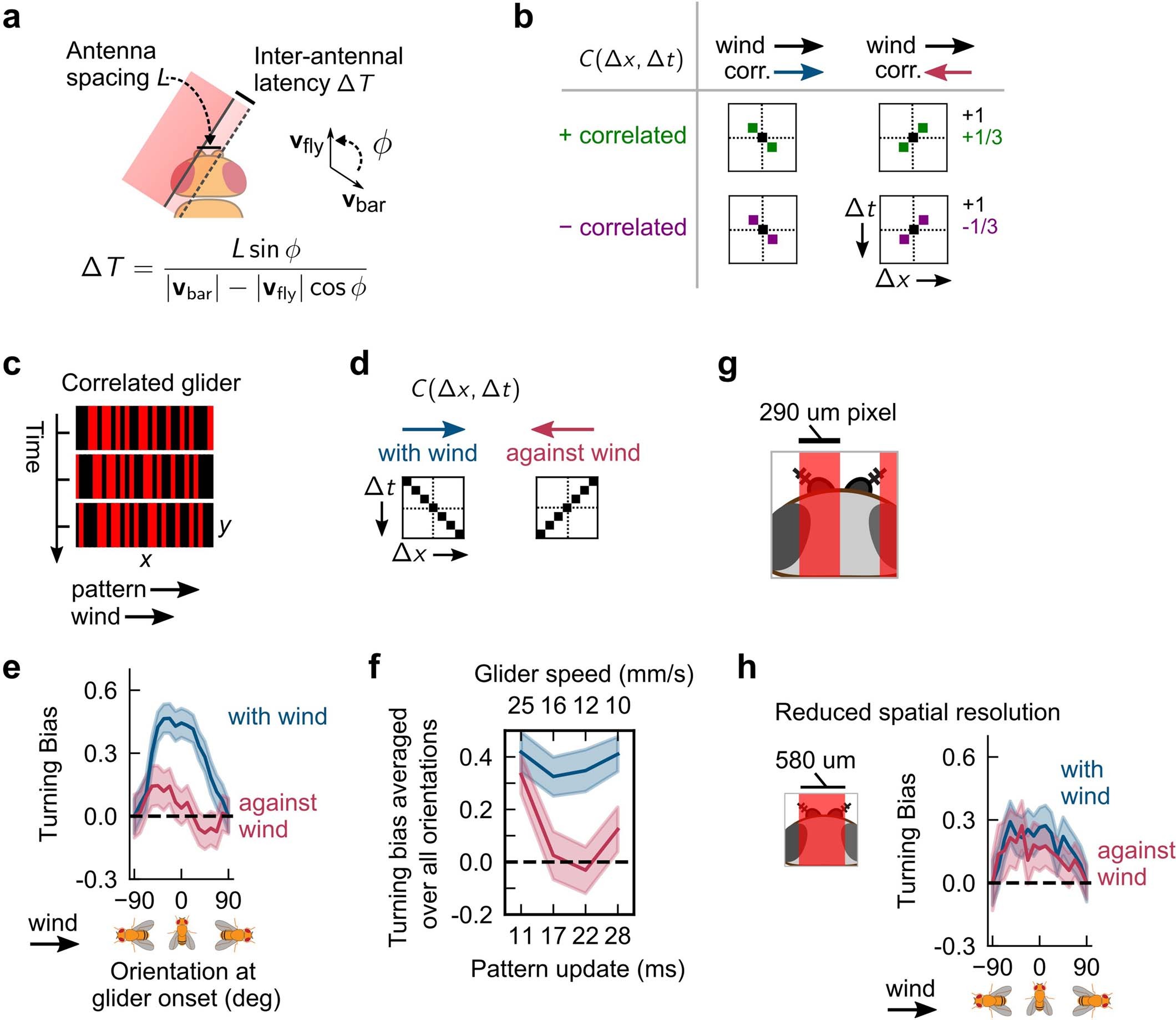 Extended Data Fig. 5: Supplementary figures and additional evidence that direction sensing is enacted using a correlation-based algorithm.