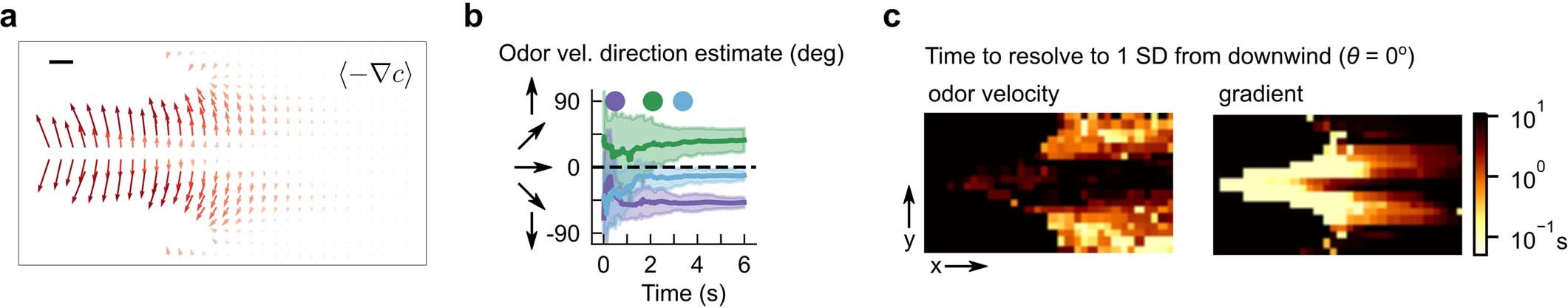 Extended Data Fig. 7: Odour velocity and concentration gradients provide complementary directional information in complex plumes.