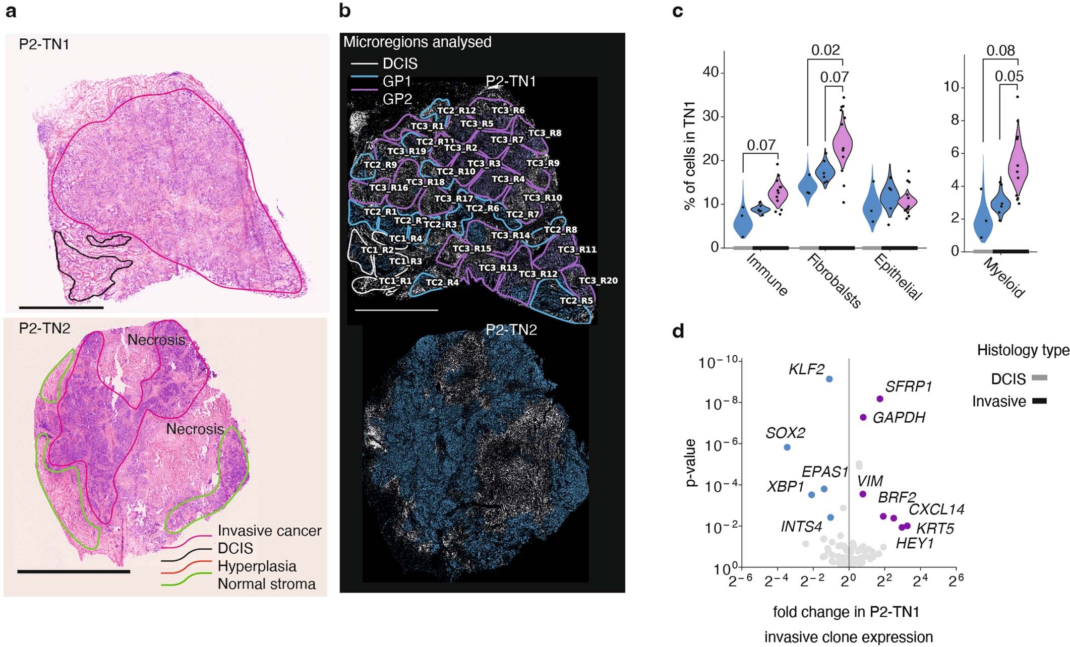Extended Data Fig. 6