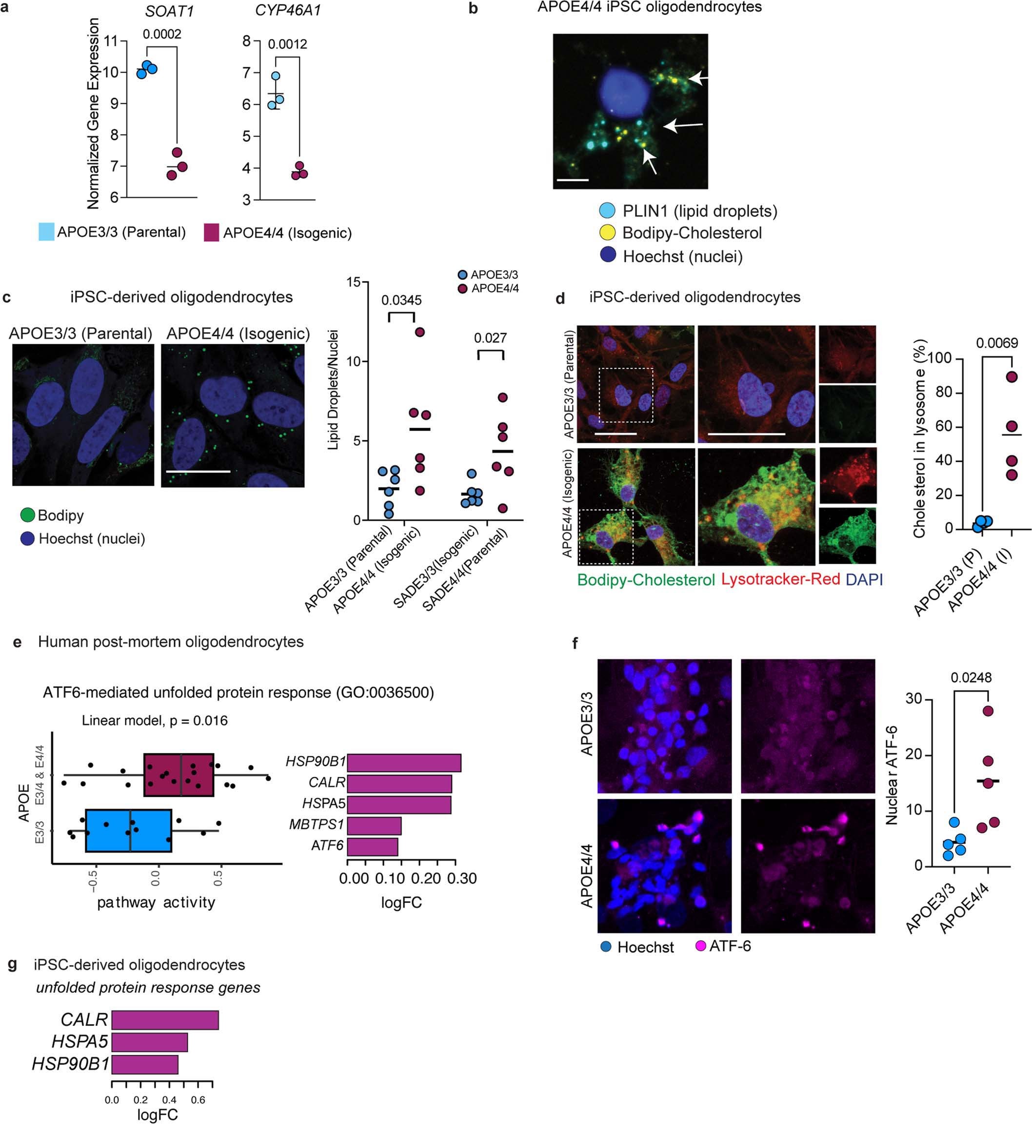 Extended Data Fig. 7