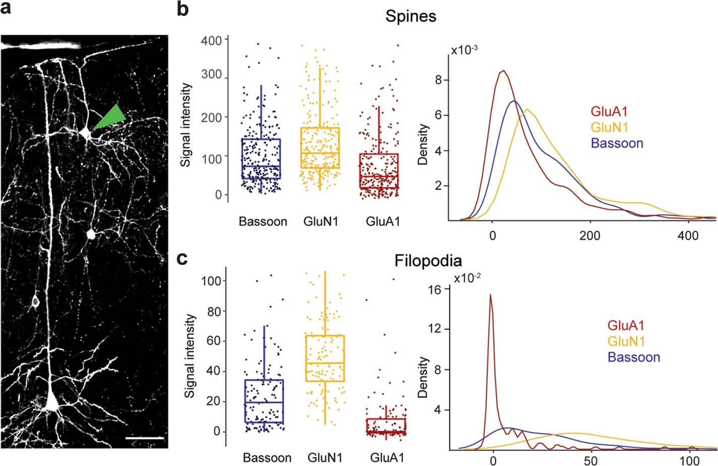 Extended Data Fig. 2