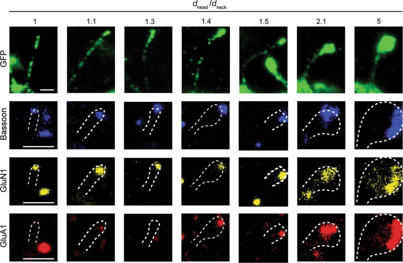 Extended Data Fig. 4