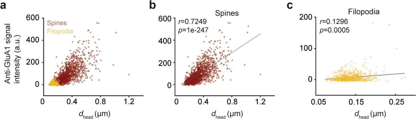 Extended Data Fig. 5