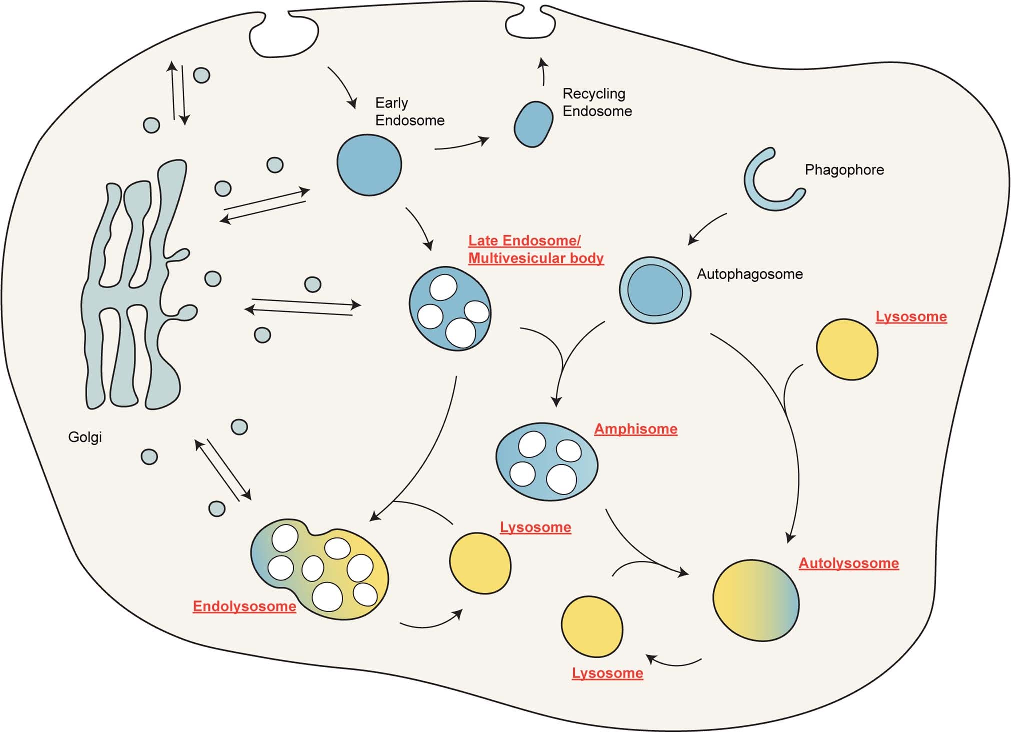 Extended Data Fig. 5