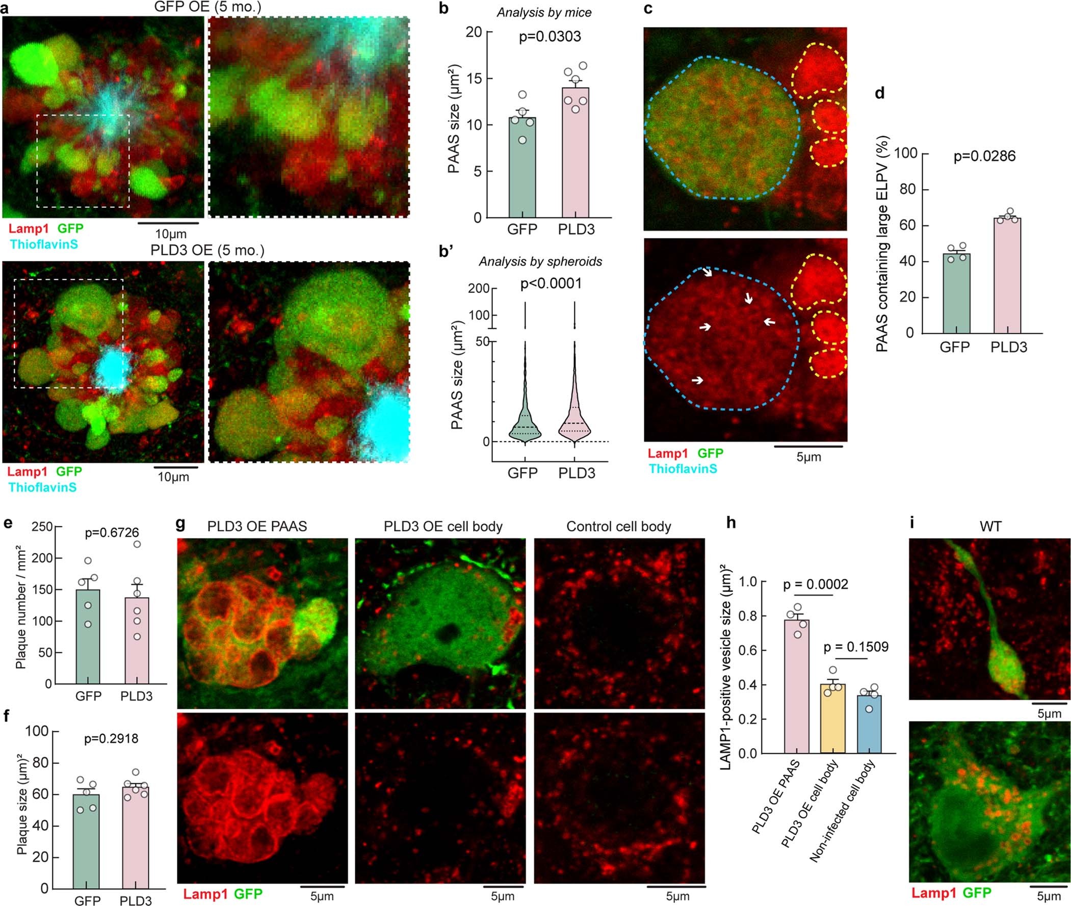Extended Data Fig. 8