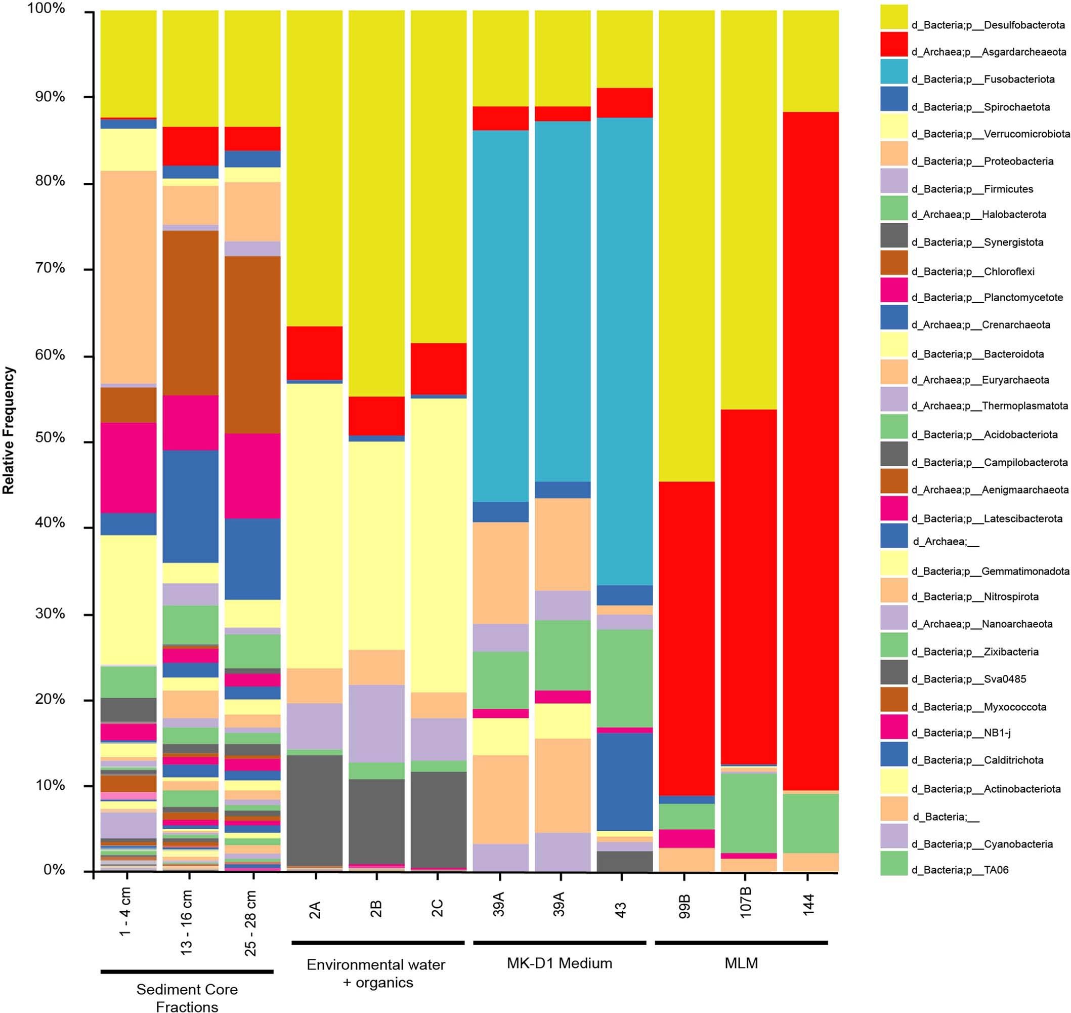 Extended Data Fig. 1: Microbial diversity profile of environmental samples (different brackish sediment core depths) and selected L. ossiferum enrichments.