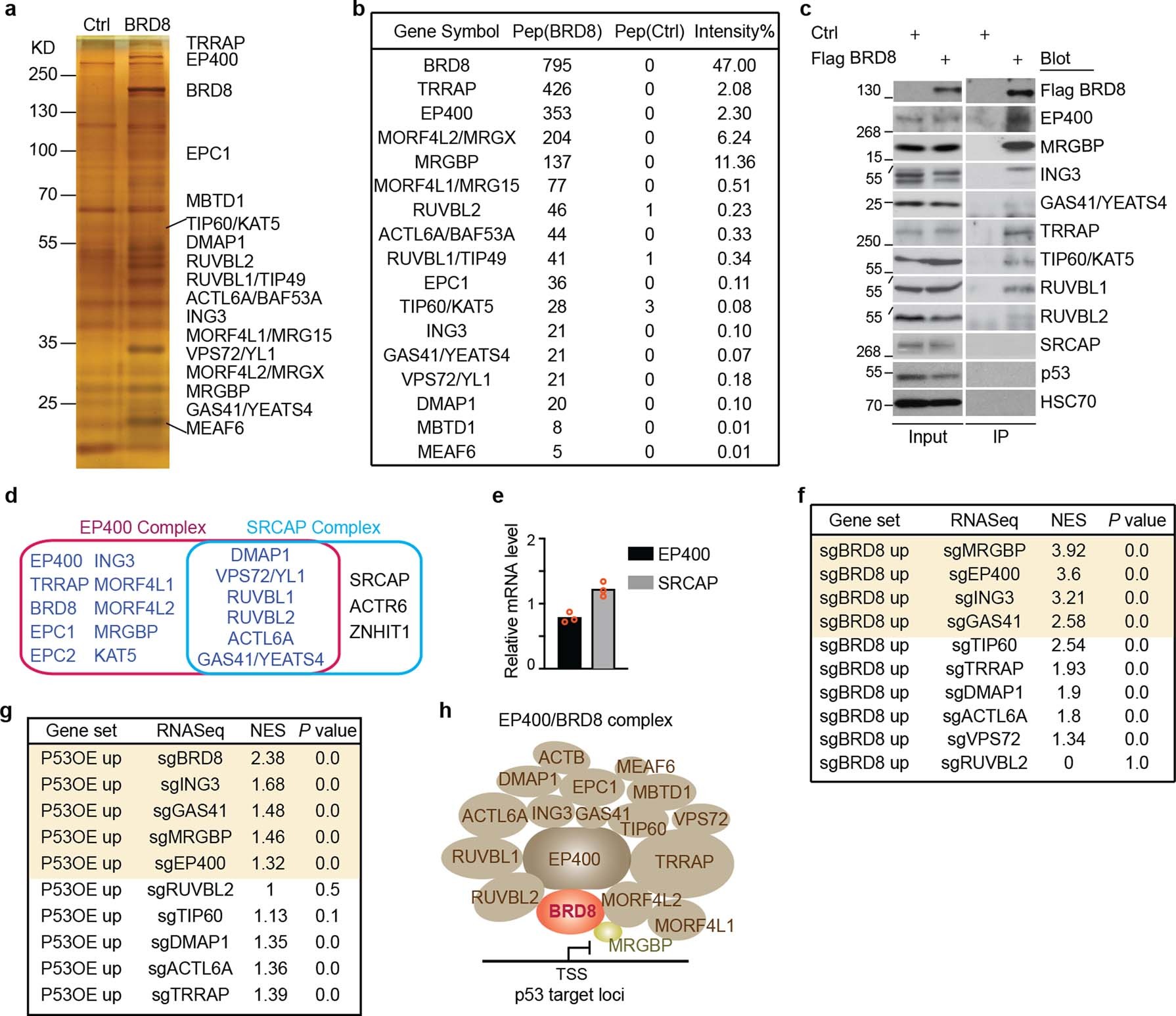 Extended Data Fig. 5