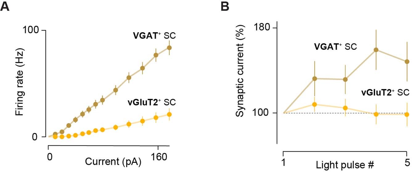 Extended Data Fig. 12: Biophysical properties of SC neurons receiving RSP input.