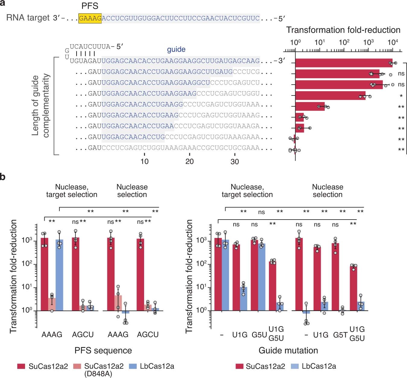 Extended Data Fig. 6: Impact of SuCas12a2 guide and PFS alterations on plasmid targeting in E. coli BL21(AI).