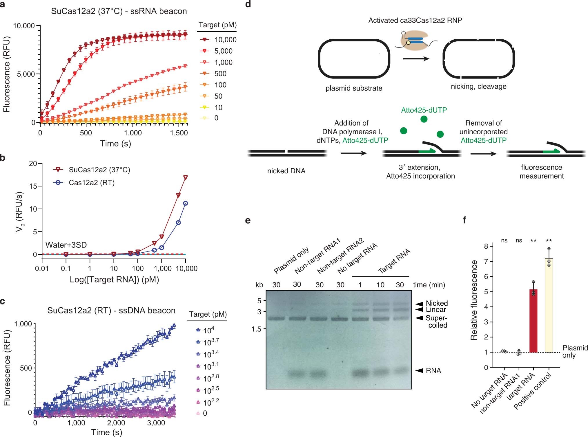 Extended Data Fig. 10: Assessment and extension of Cas12a2-based diagnostics.