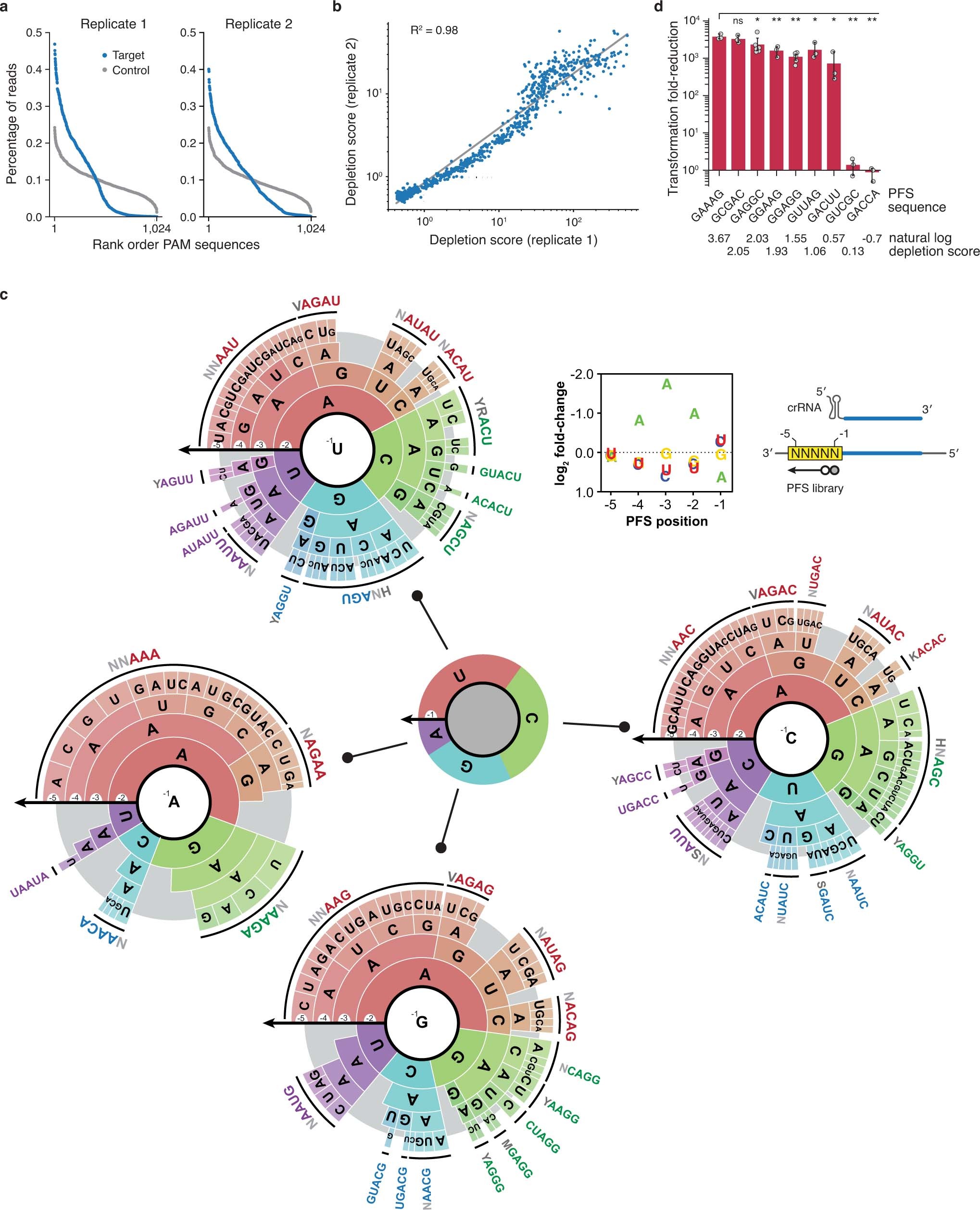 Extended Data Fig. 5: PFS depletion screen with SuCas12a2 in E. coli BL21(AI).