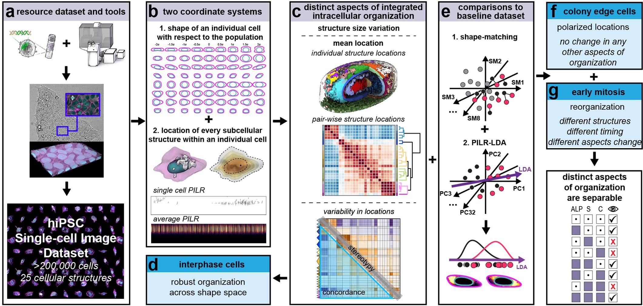 Extended Data Fig. 12: Statistical analysis for quality control of the WTC-11 hiPSC Single-Cell Image Dataset v1.