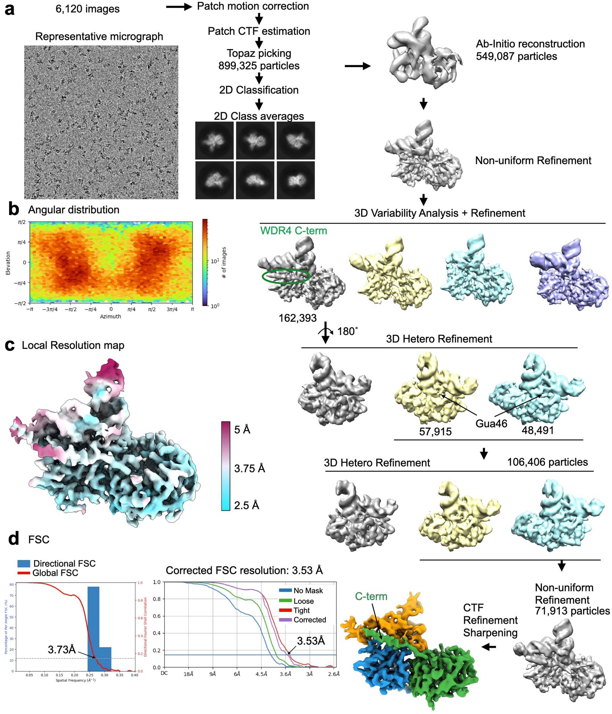 Extended Data Fig. 4