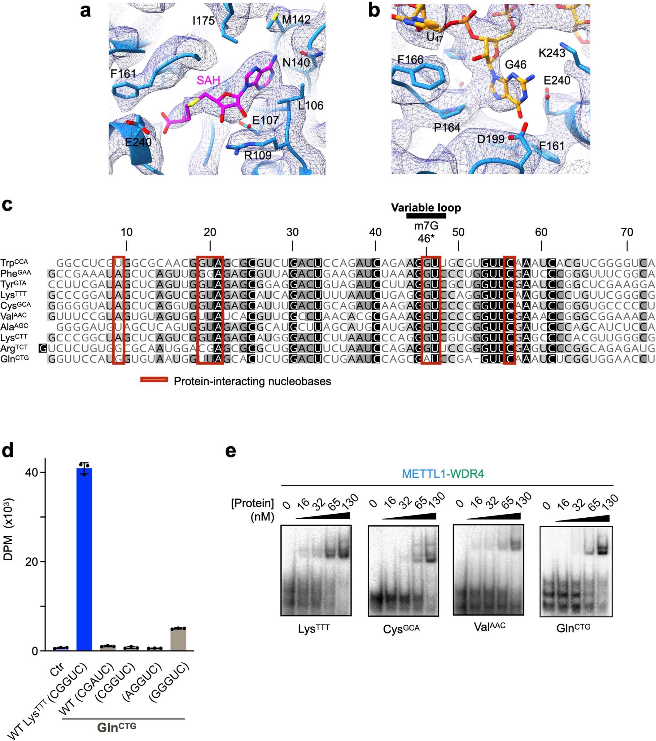 Extended Data Fig. 6