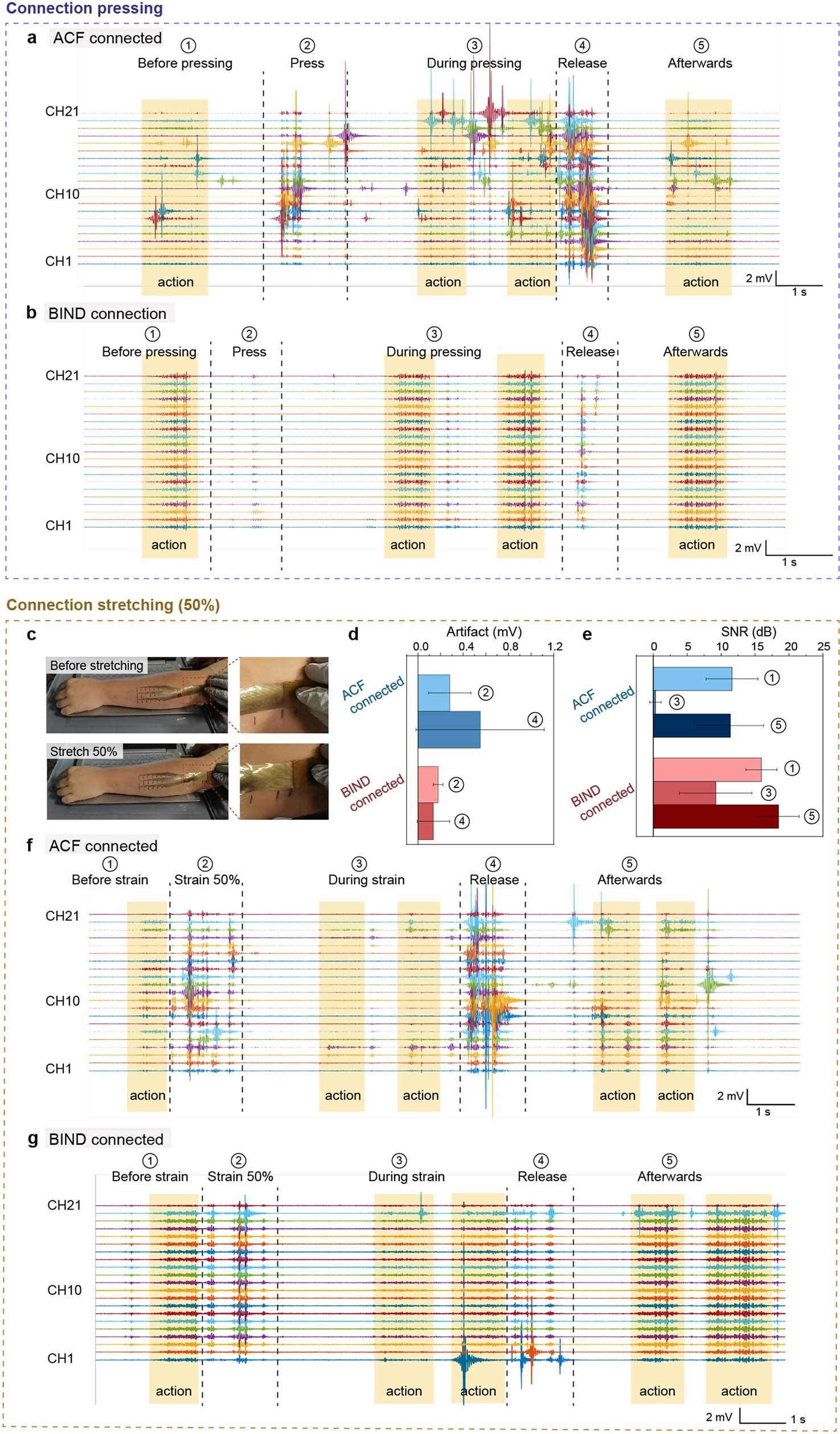 Extended Data Fig. 9: The 21-channel EMG electrode assembled via BIND connection shows high signal fidelity and resistance against mechanical interferences, including connection pressing and stretching (50%).
