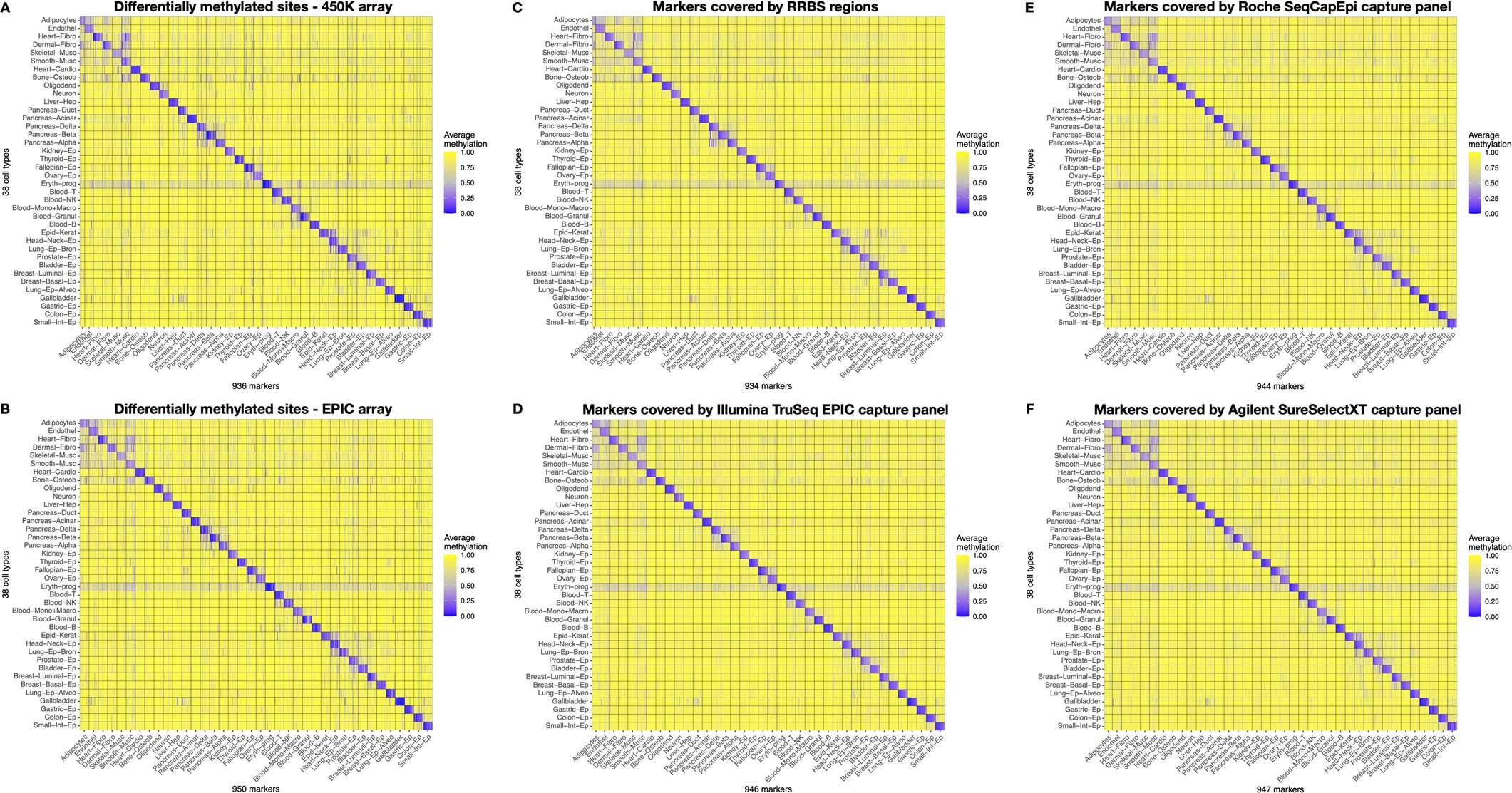 Extended Data Fig. 9: Specialized DNA methylation atlases for the analysis of (A) Illumina BeadChip 450K array, (B) EPIC array, (C) RRBS sequencing data, (D) Illumina TruSeq EPIC capture panel, (E) Roche SeqCapEpi capture panel, and (F) Agilent SureSelectXT capture panel