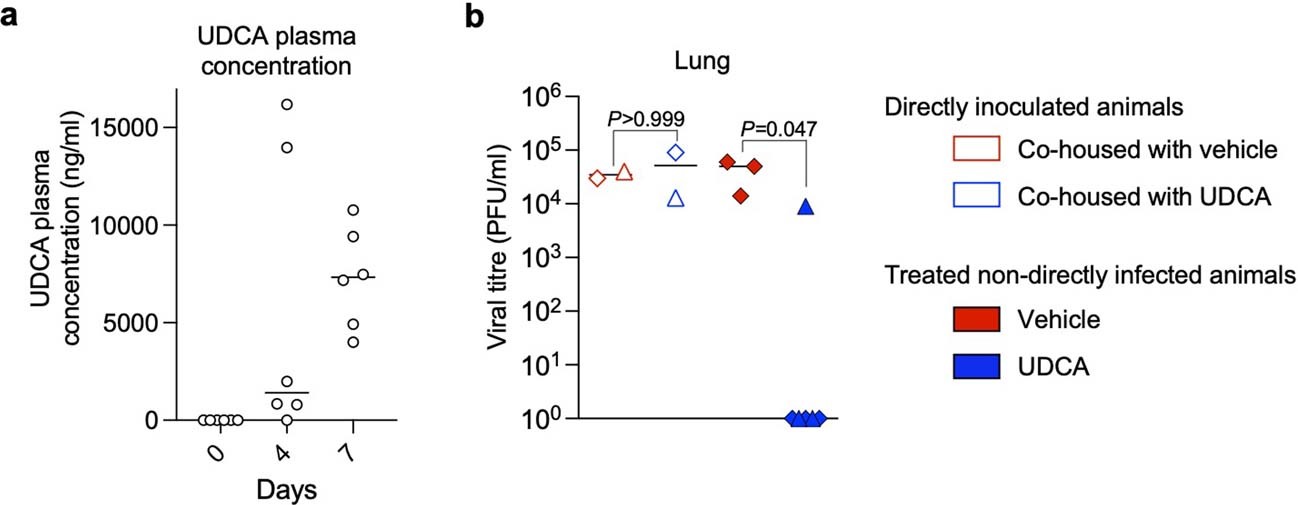 Extended Data Fig. 8: UDCA plasma concentration in vivo.