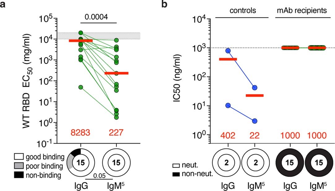 Extended Data Fig. 5: WT RBD binding and WT SARS-Cov-2 neutralization by monoclonal pentameric IgM antibodies.