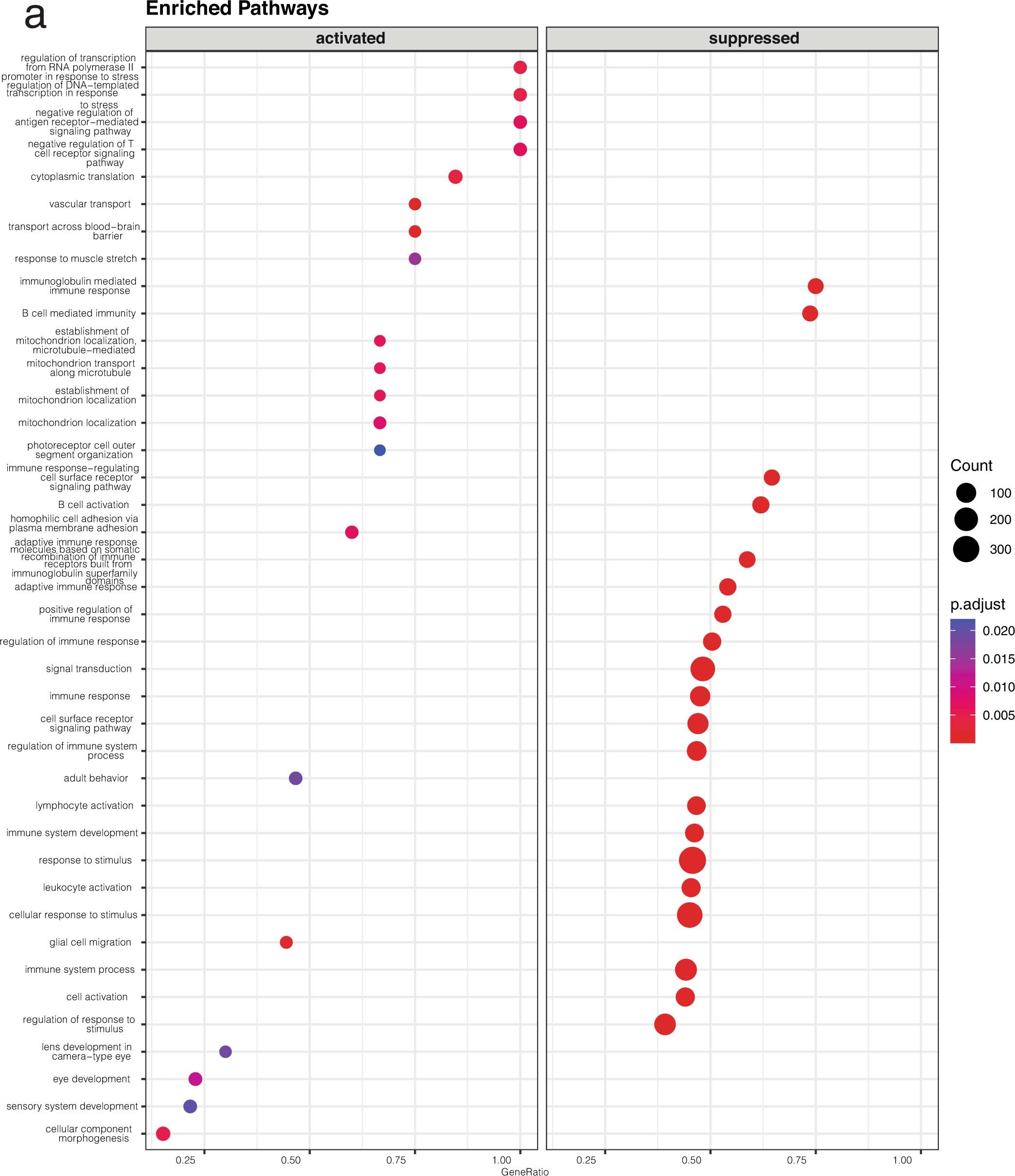 Extended Data Fig. 2: Gene set enrichment analysis of iteratively stimulated CD8 T cells.