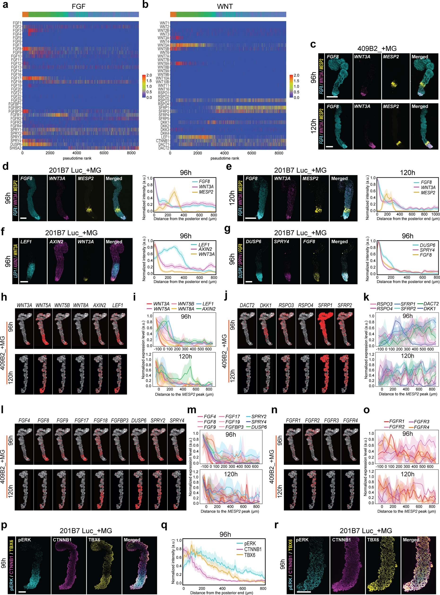 Extended Data Fig. 4