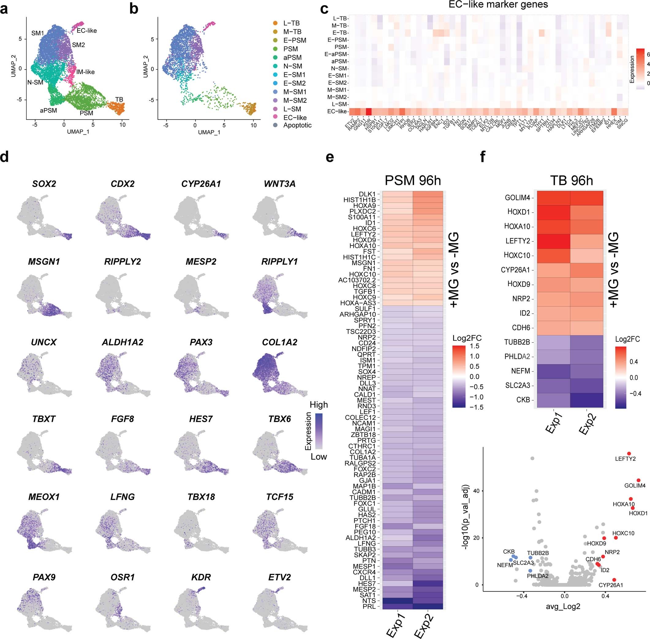 Extended Data Fig. 6