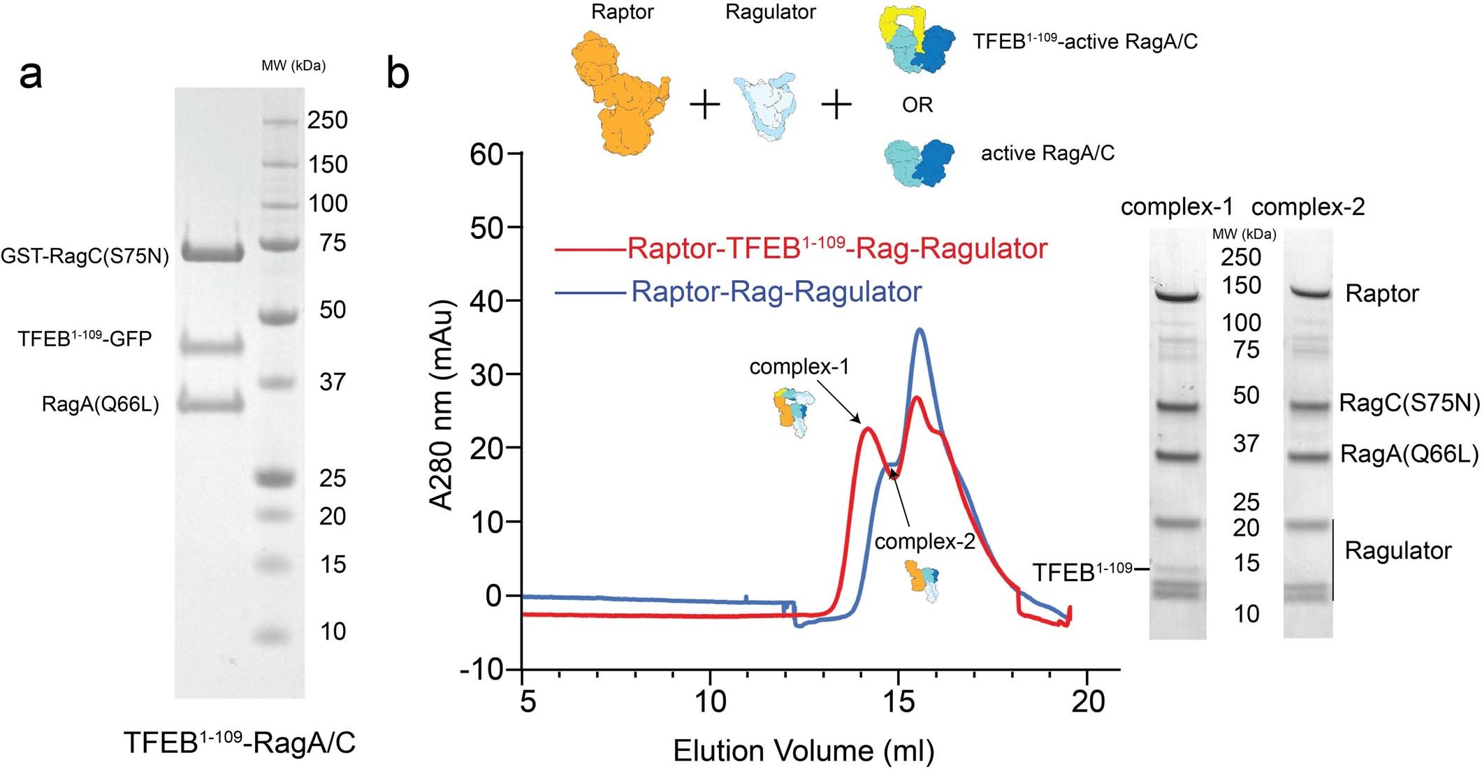 Extended Data Fig. 5
