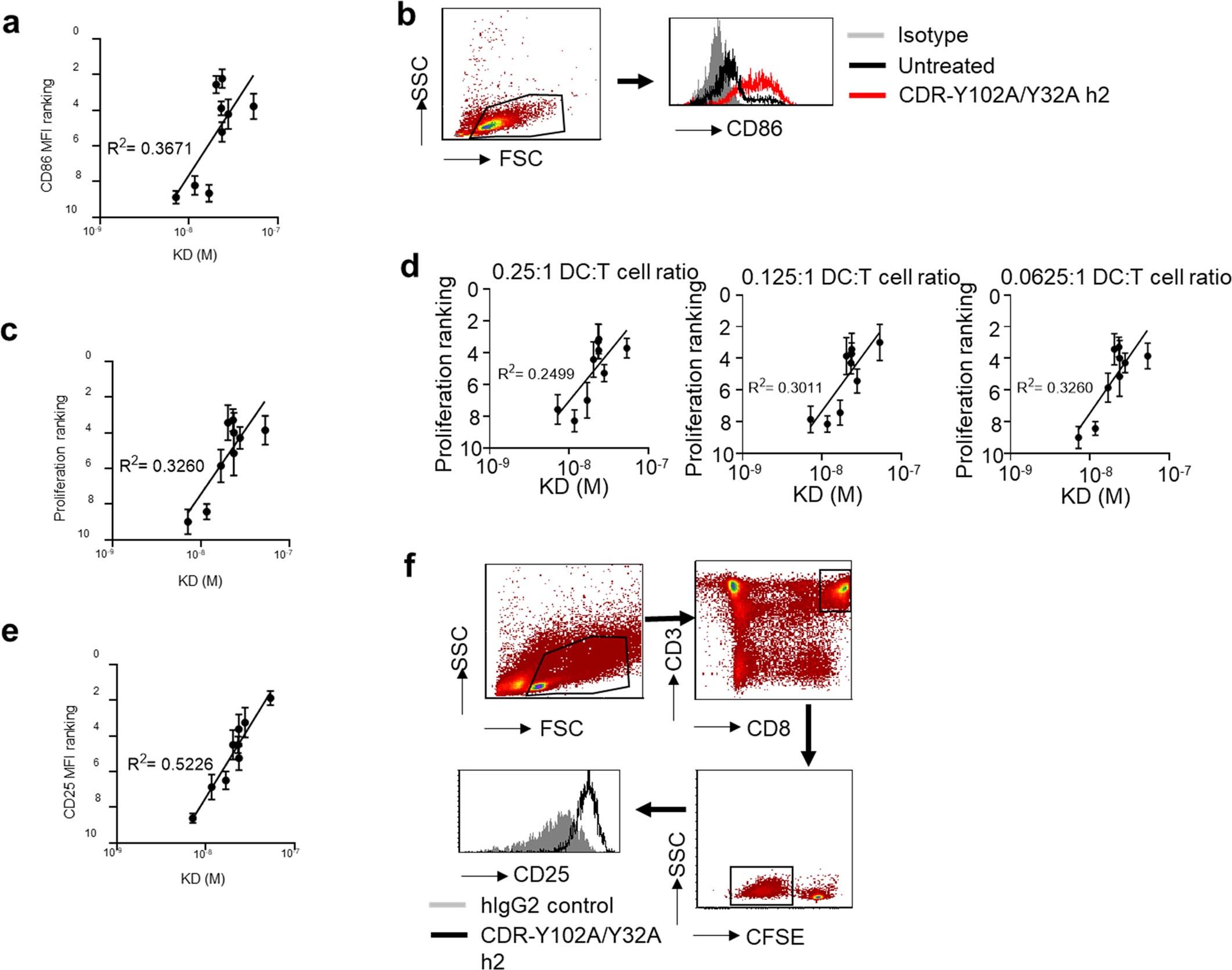 Extended Data Fig. 4: Low affinity anti-CD40 mAb exhibit potent agonism in human systems.
