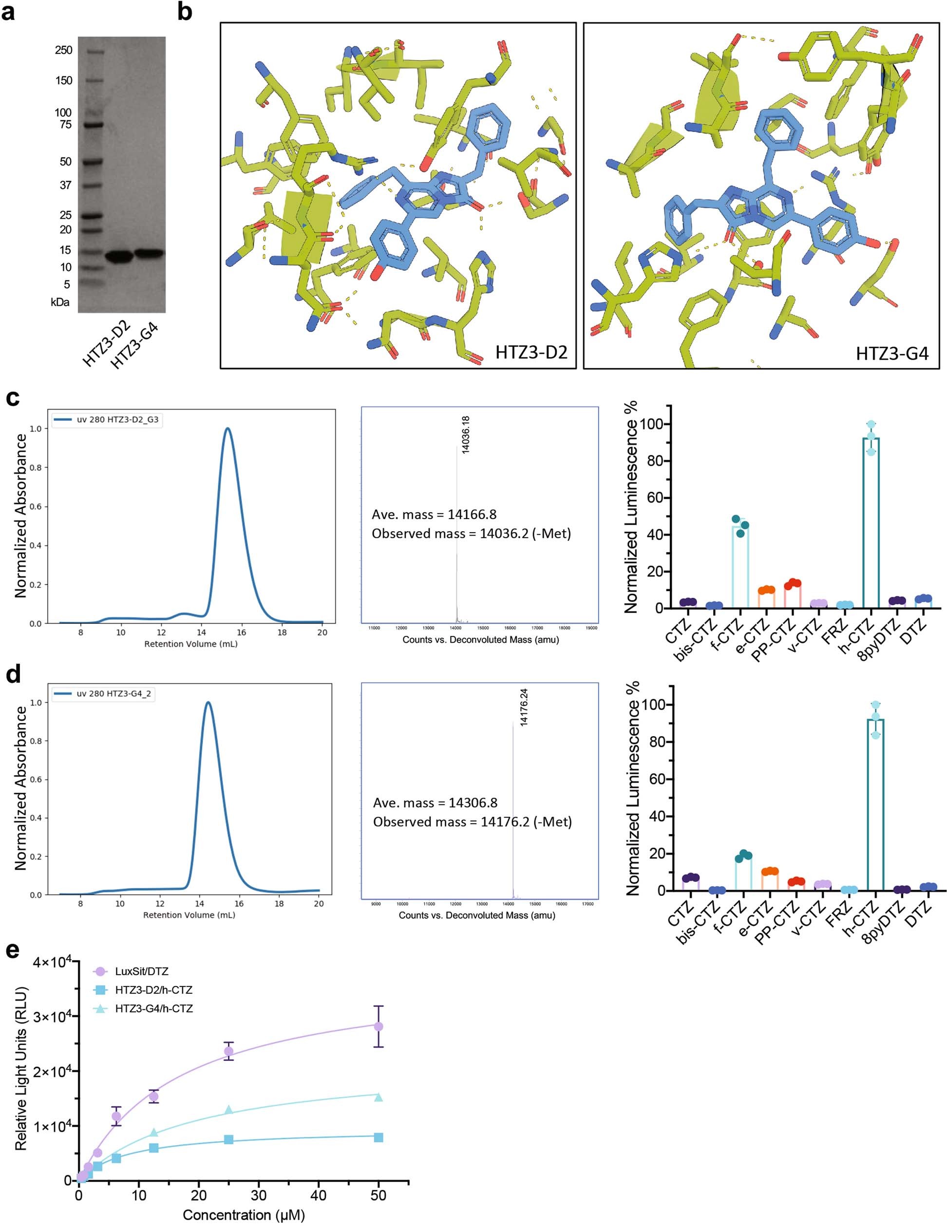 Extended Data Fig. 4: Expression, purification and activity measurement of selected de-novo-designed luciferases for h-CTZ.