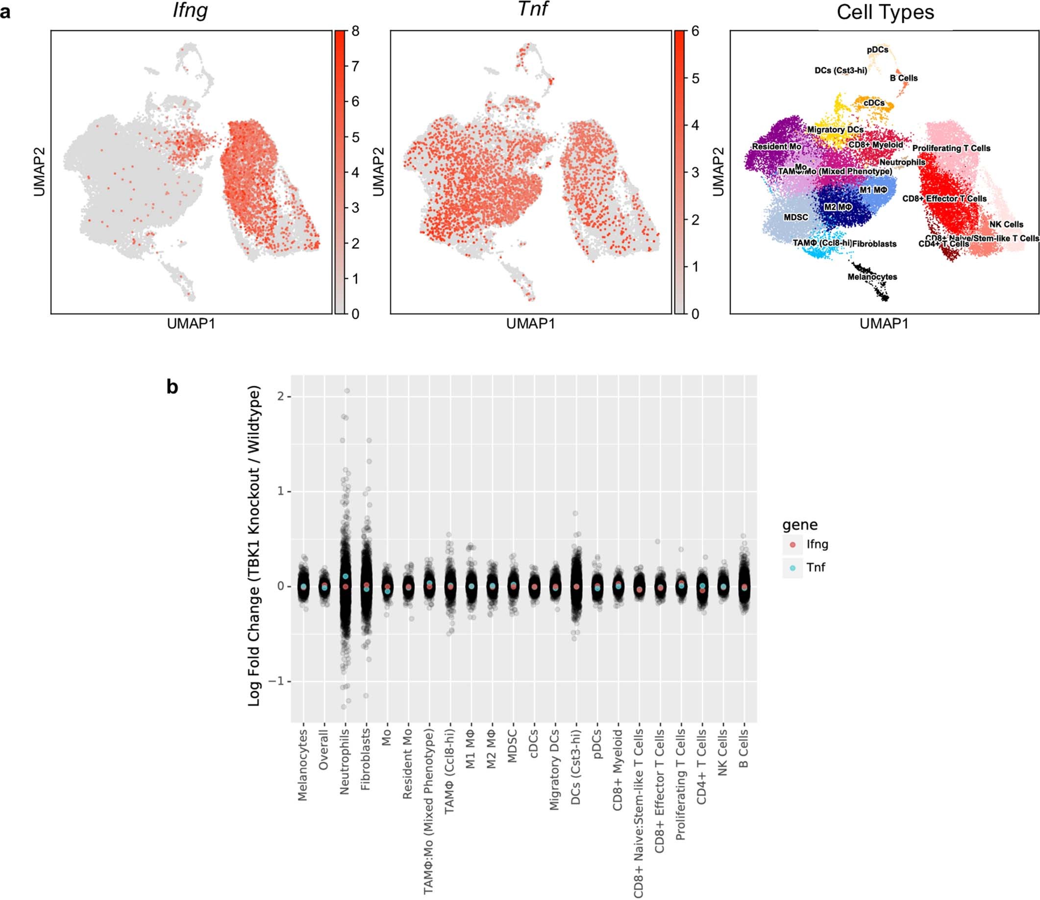 Extended Data Fig. 5: TNF and IFNγ expression in B16 melanoma tumours.